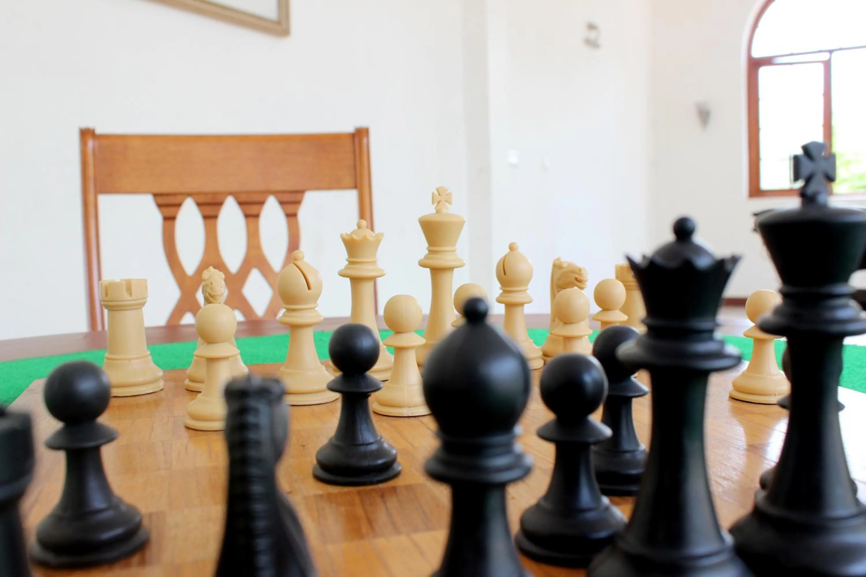 Entertainment in KTDC Bolgatty Palace & Island Resort