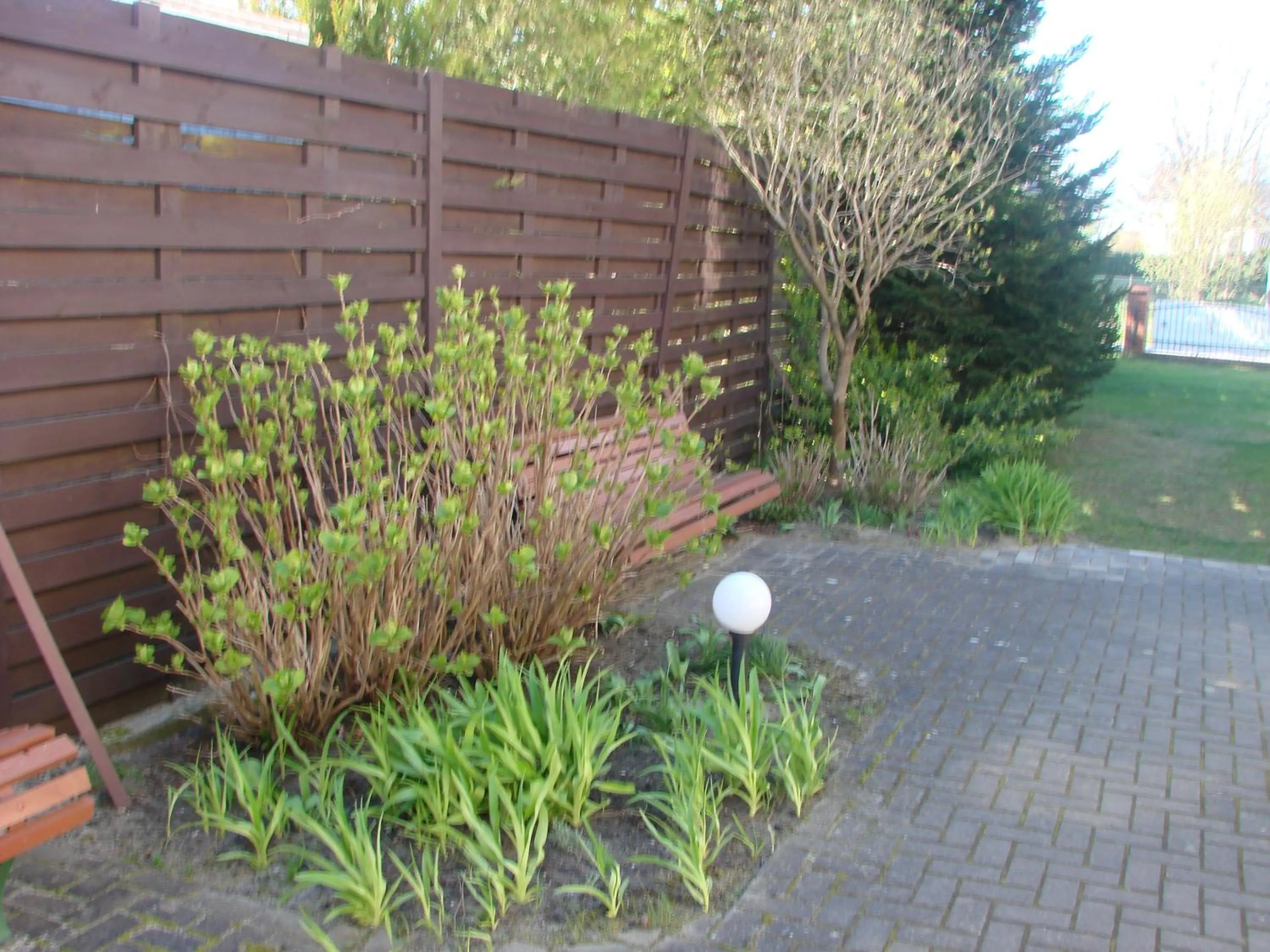 Area and facilities in Dom Gościnny Marcela