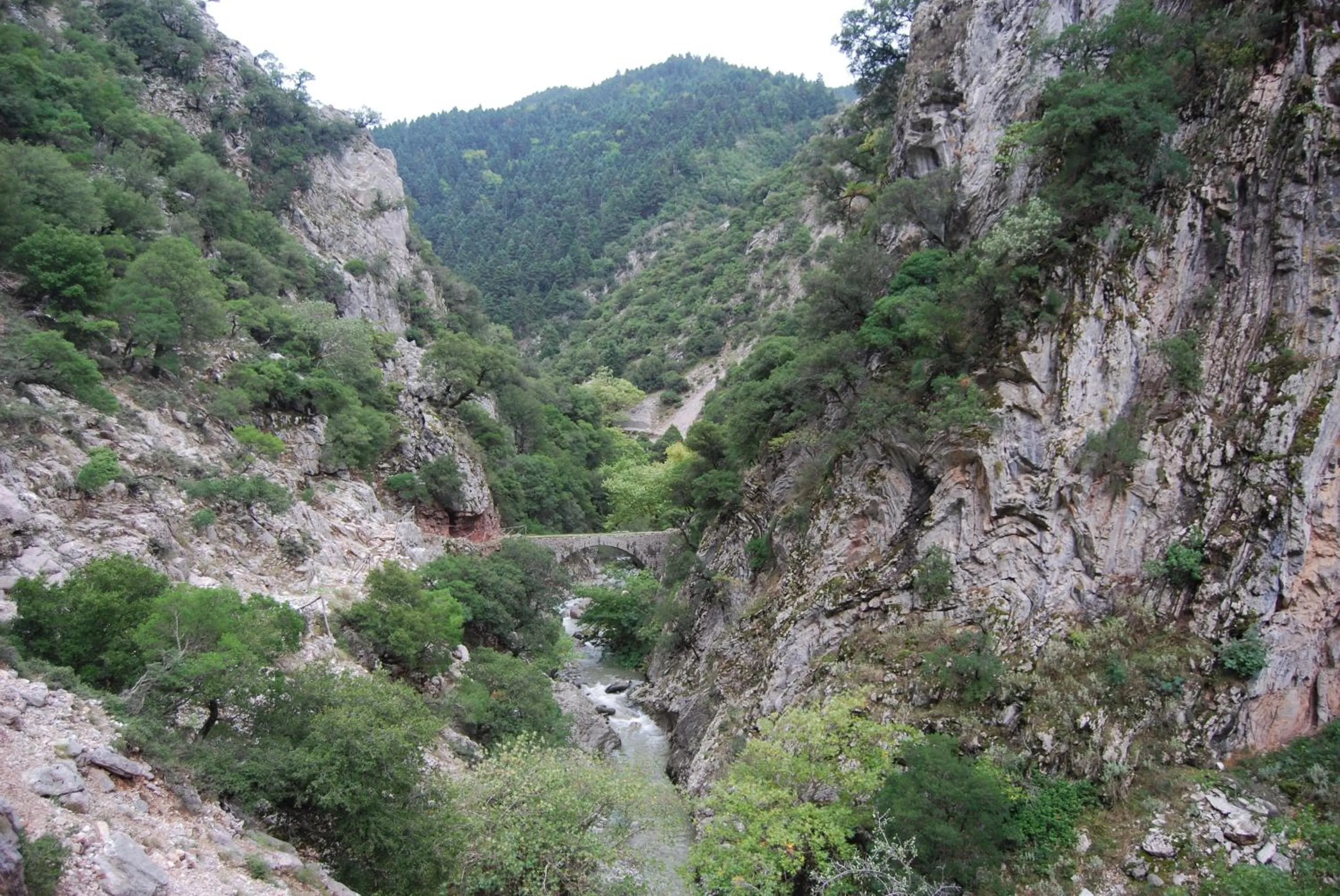 Area and facilities in Dryades Guesthouse