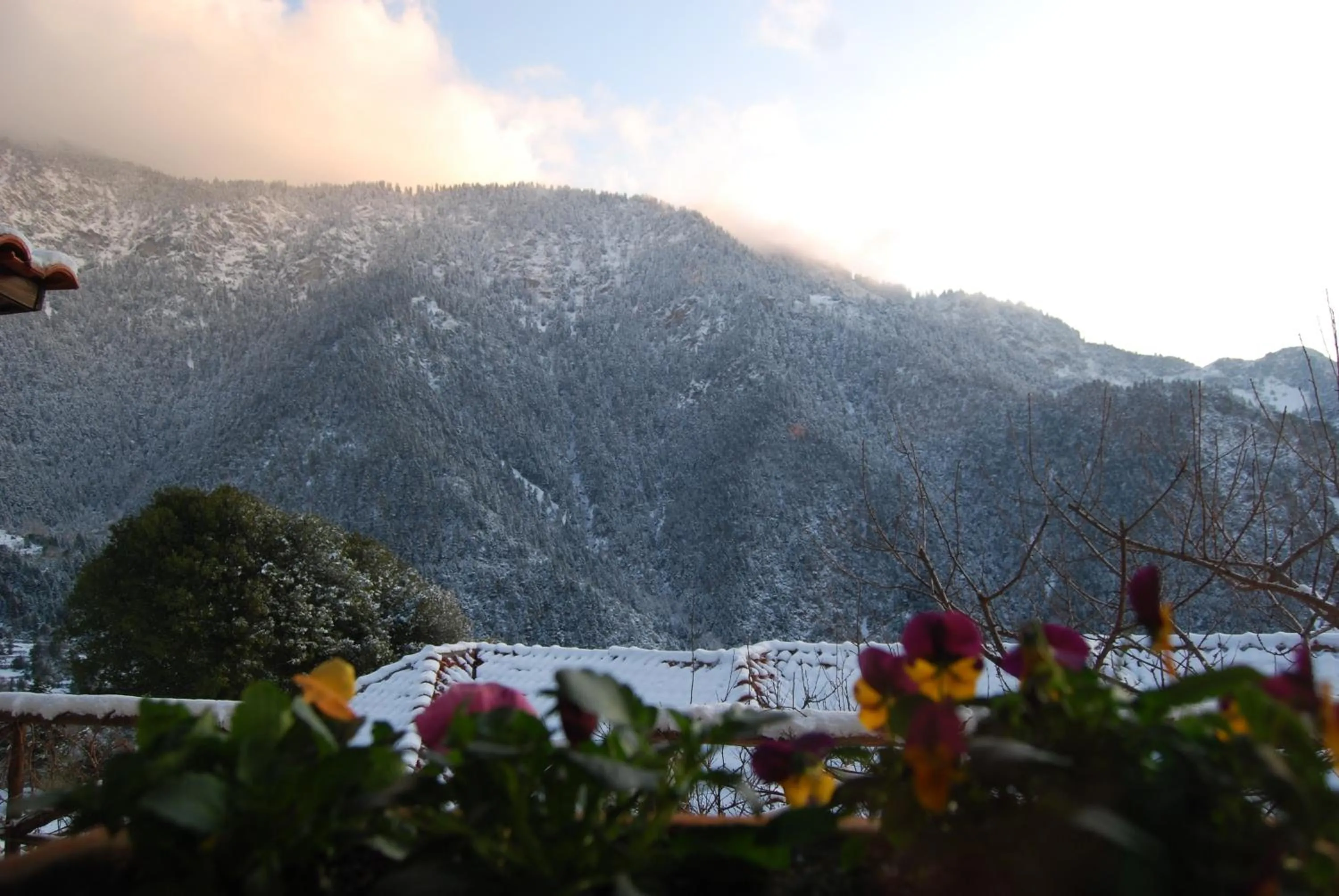 View (from property/room) in Dryades Guesthouse