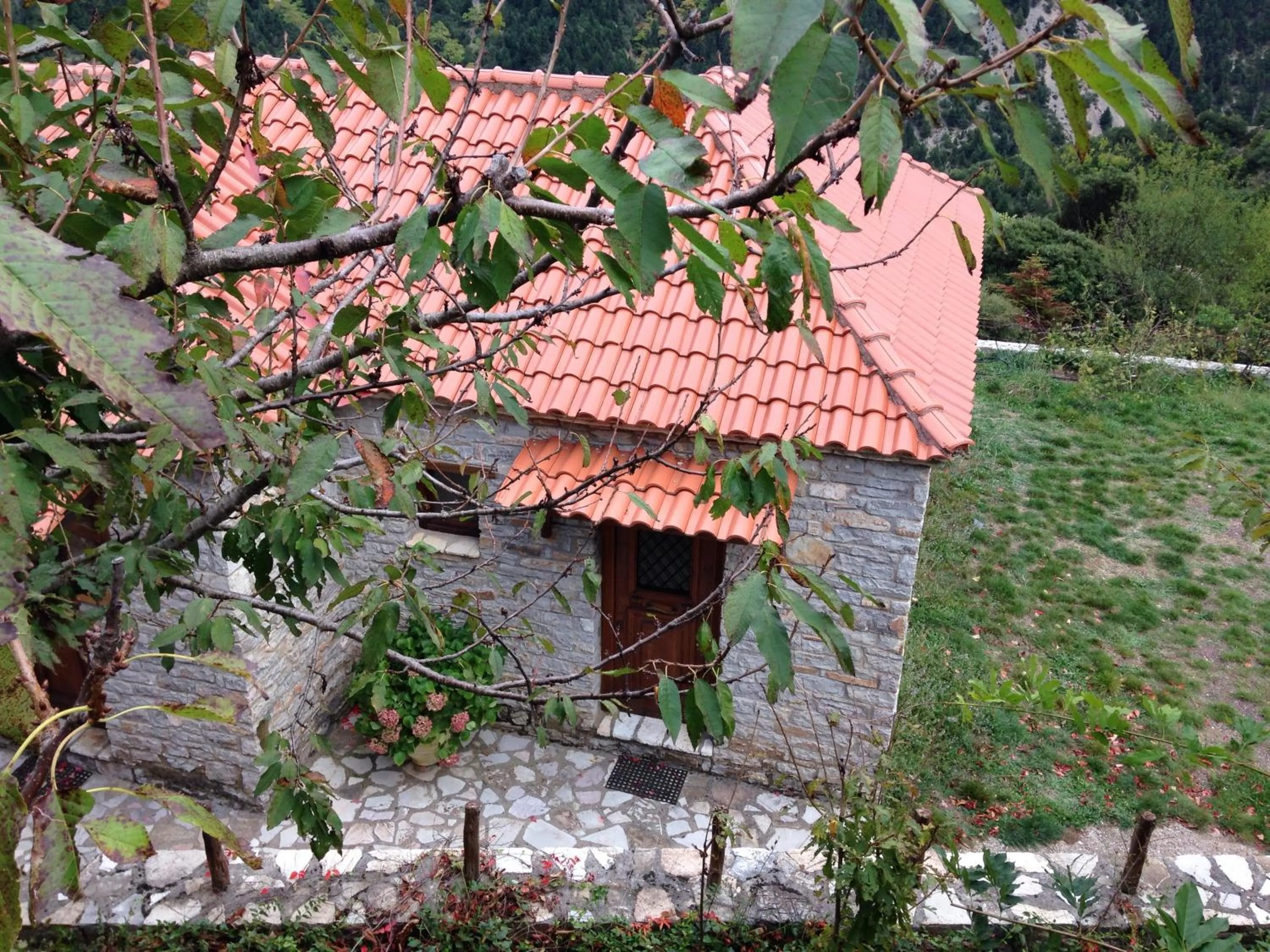 Bird's eye view in Dryades Guesthouse