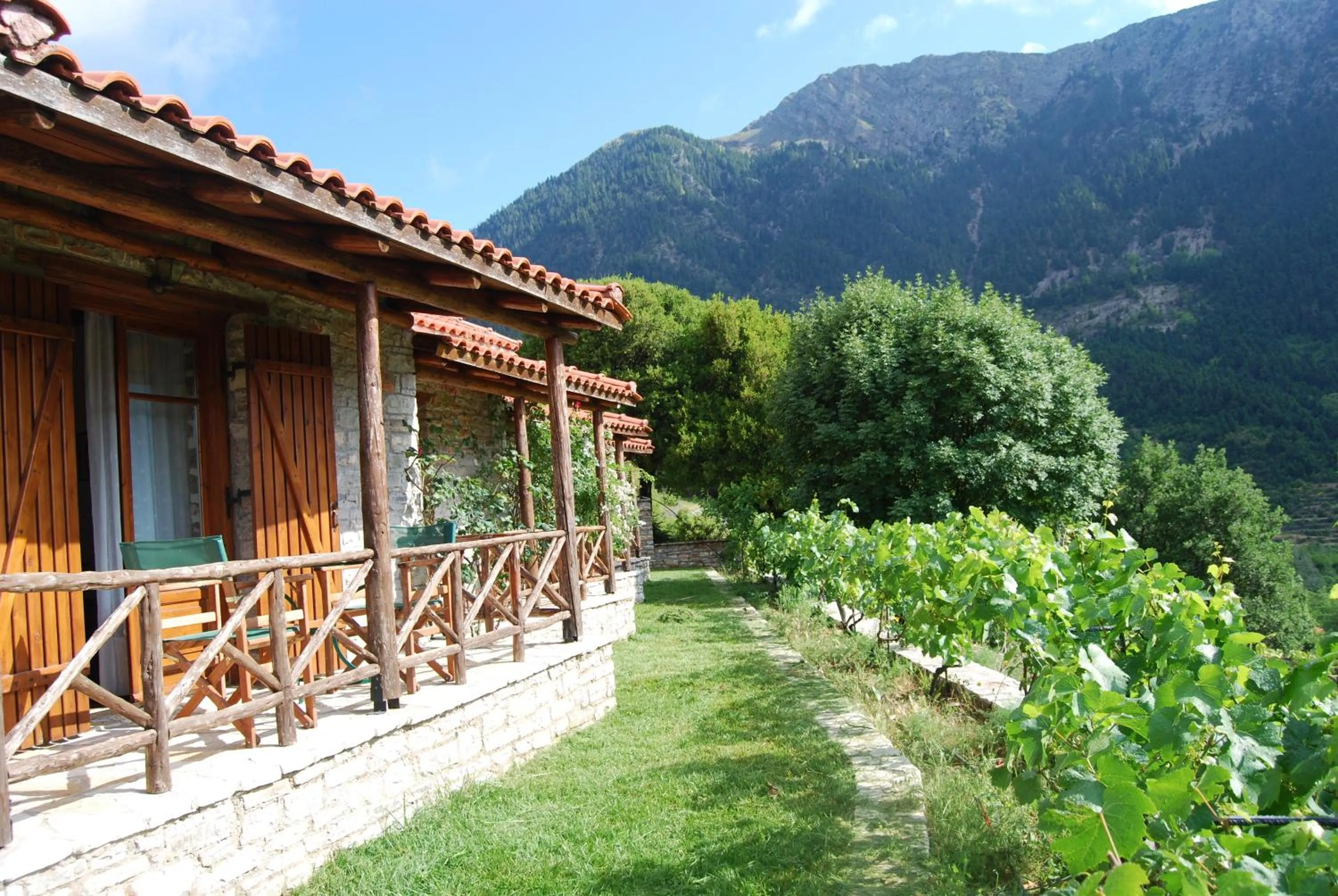 Balcony/Terrace in Dryades Guesthouse