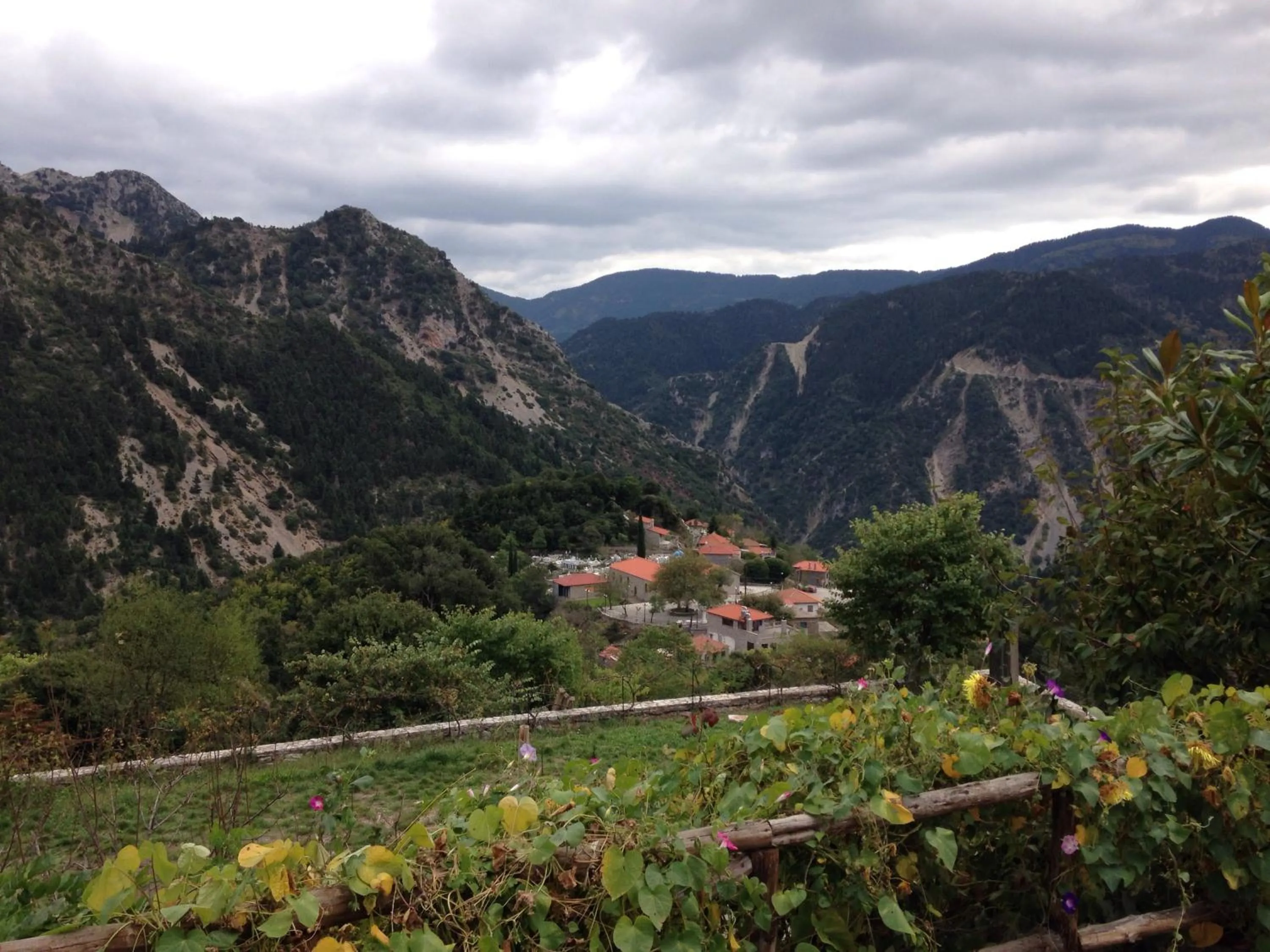 View (from property/room) in Dryades Guesthouse