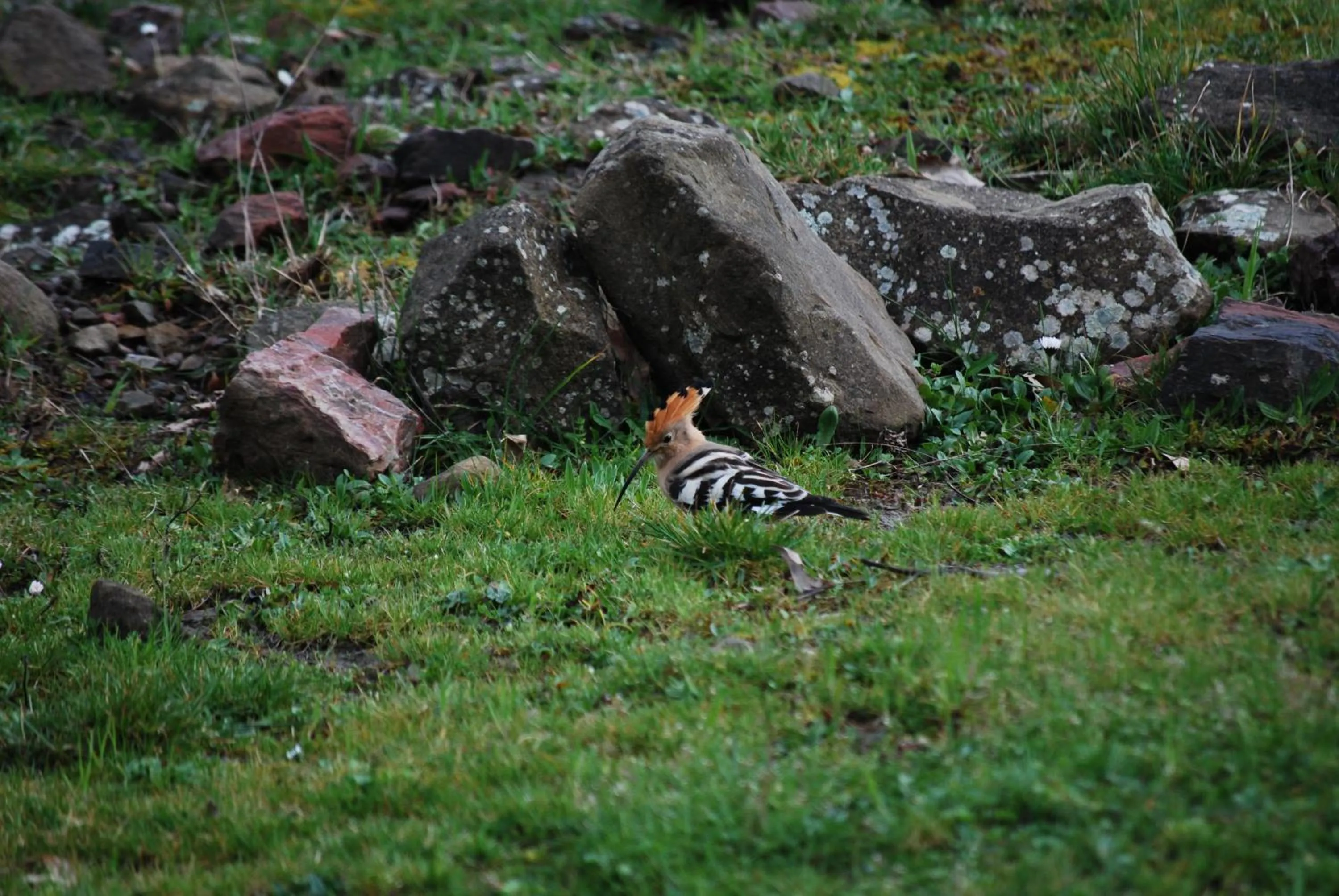 Other in Dryades Guesthouse