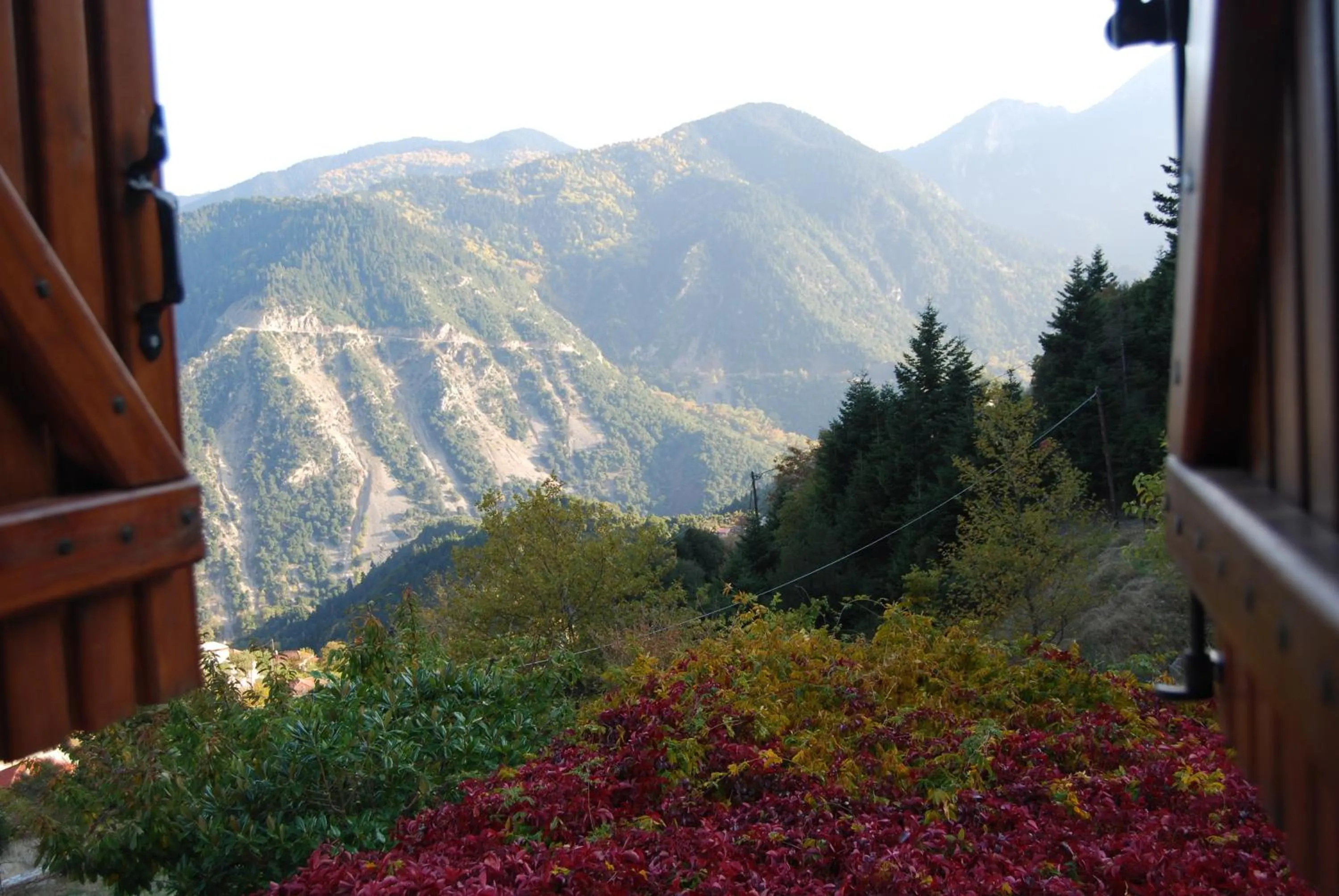 View (from property/room) in Dryades Guesthouse