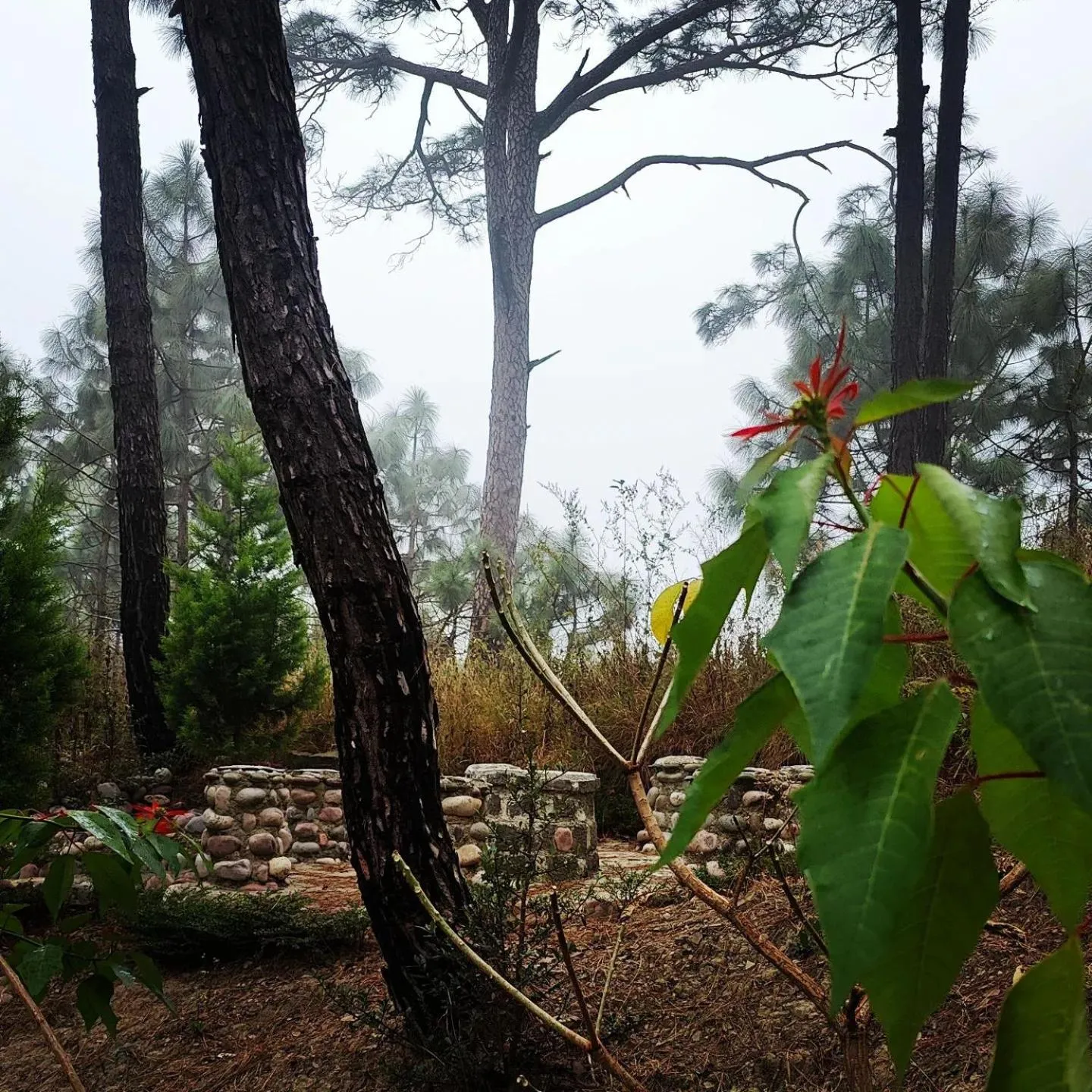 Seating area in Chillaru Spa & Resort