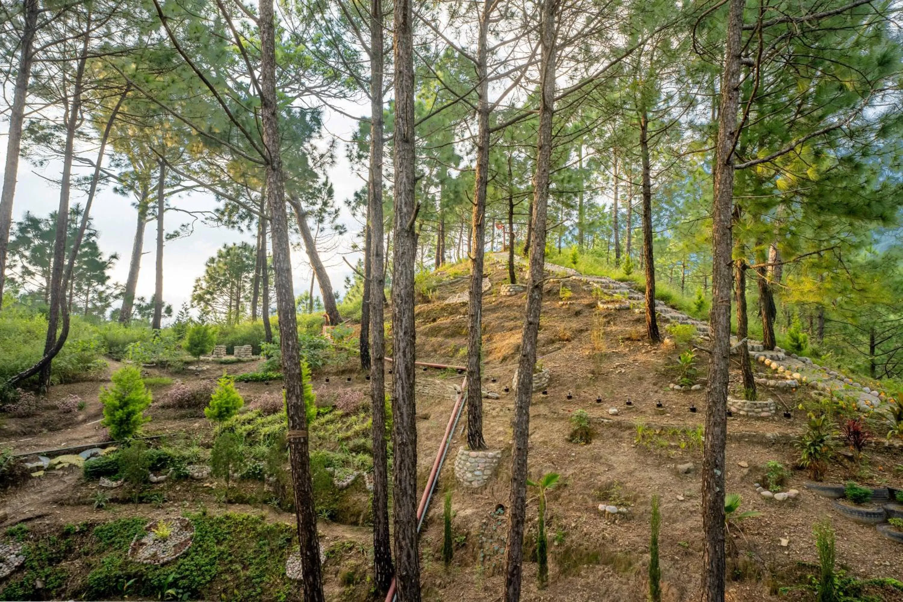 Natural landscape in Chillaru Spa & Resort