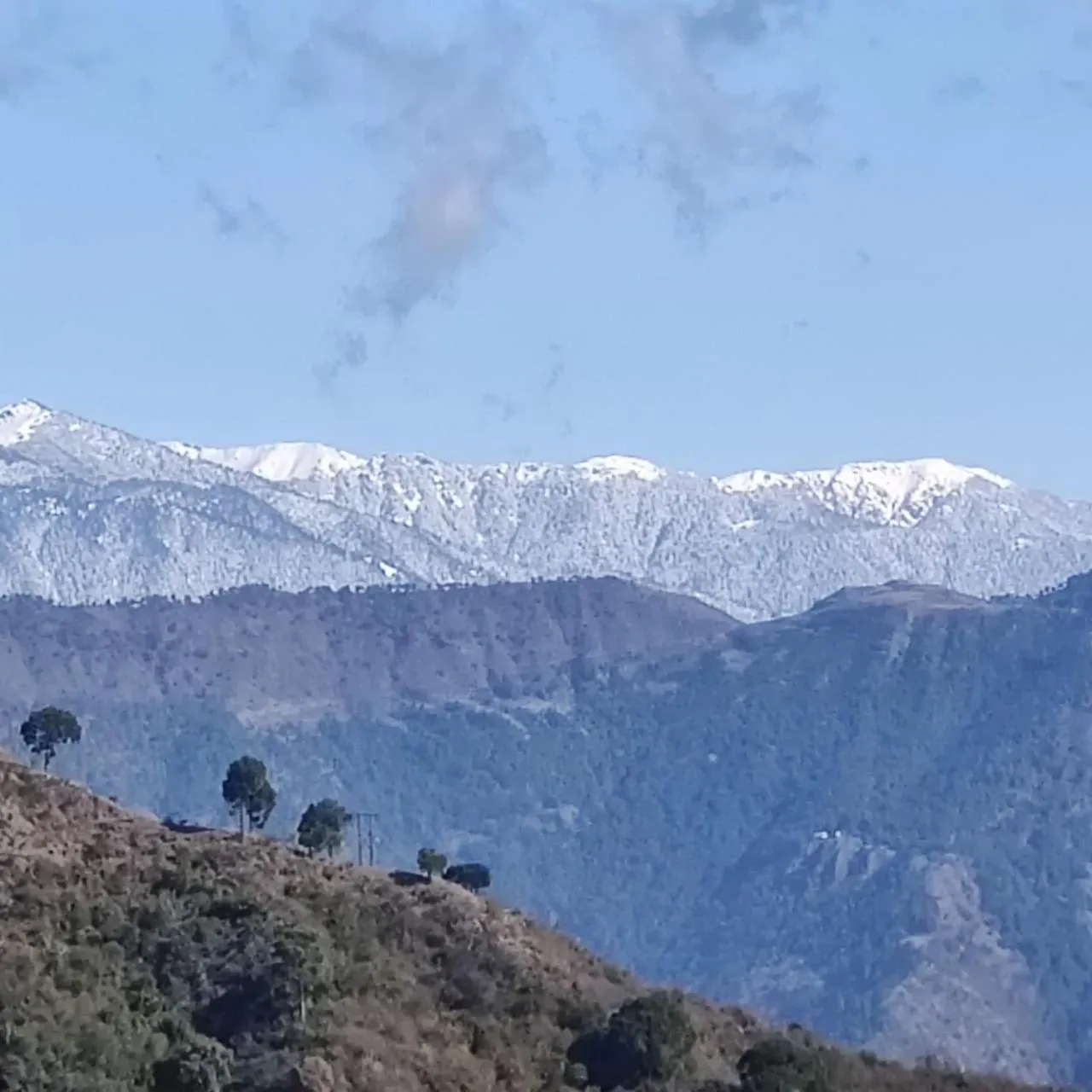 View (from property/room) in Chillaru Spa & Resort