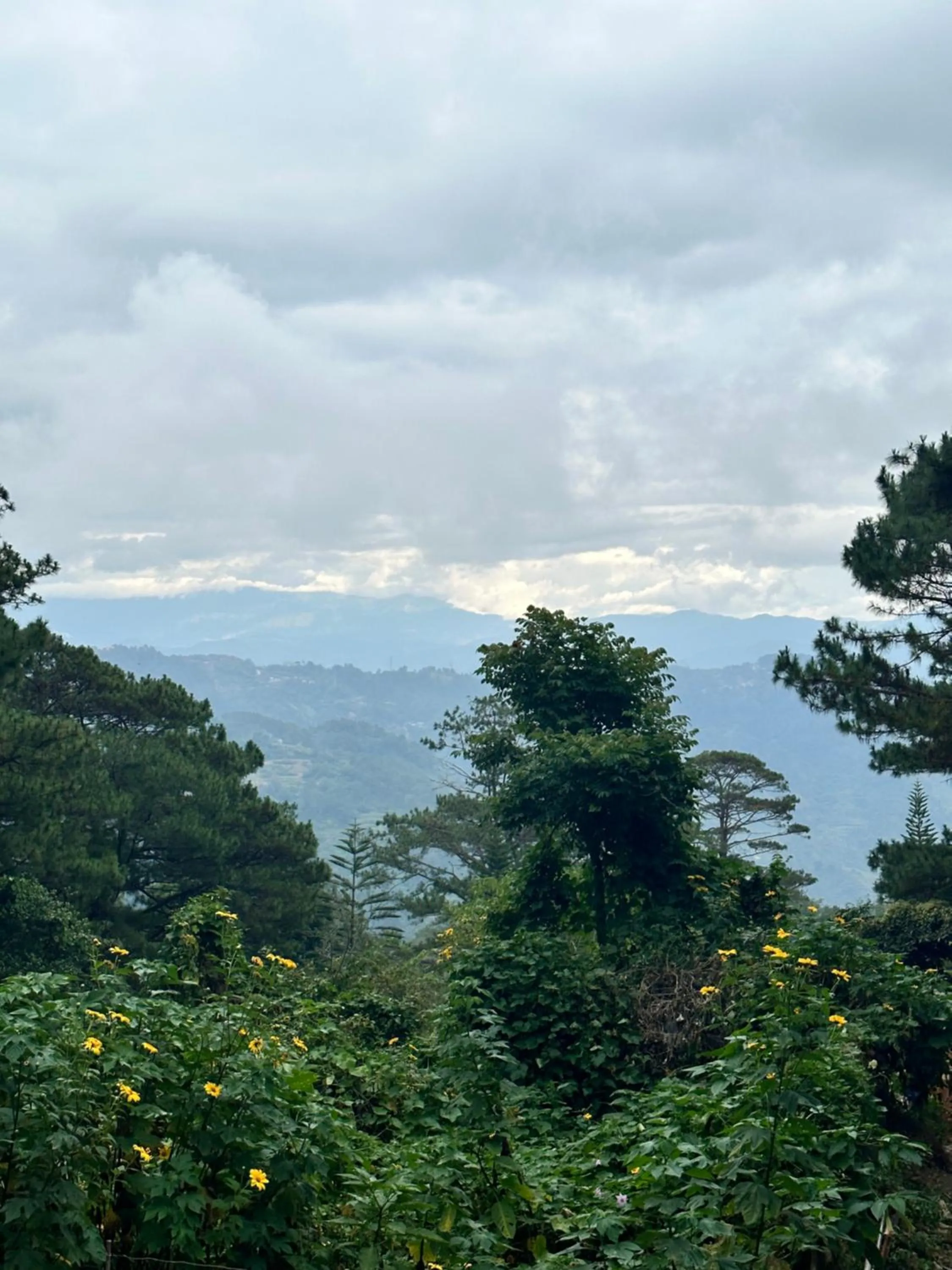 Natural landscape in Lee Boutique Hotel Baguio