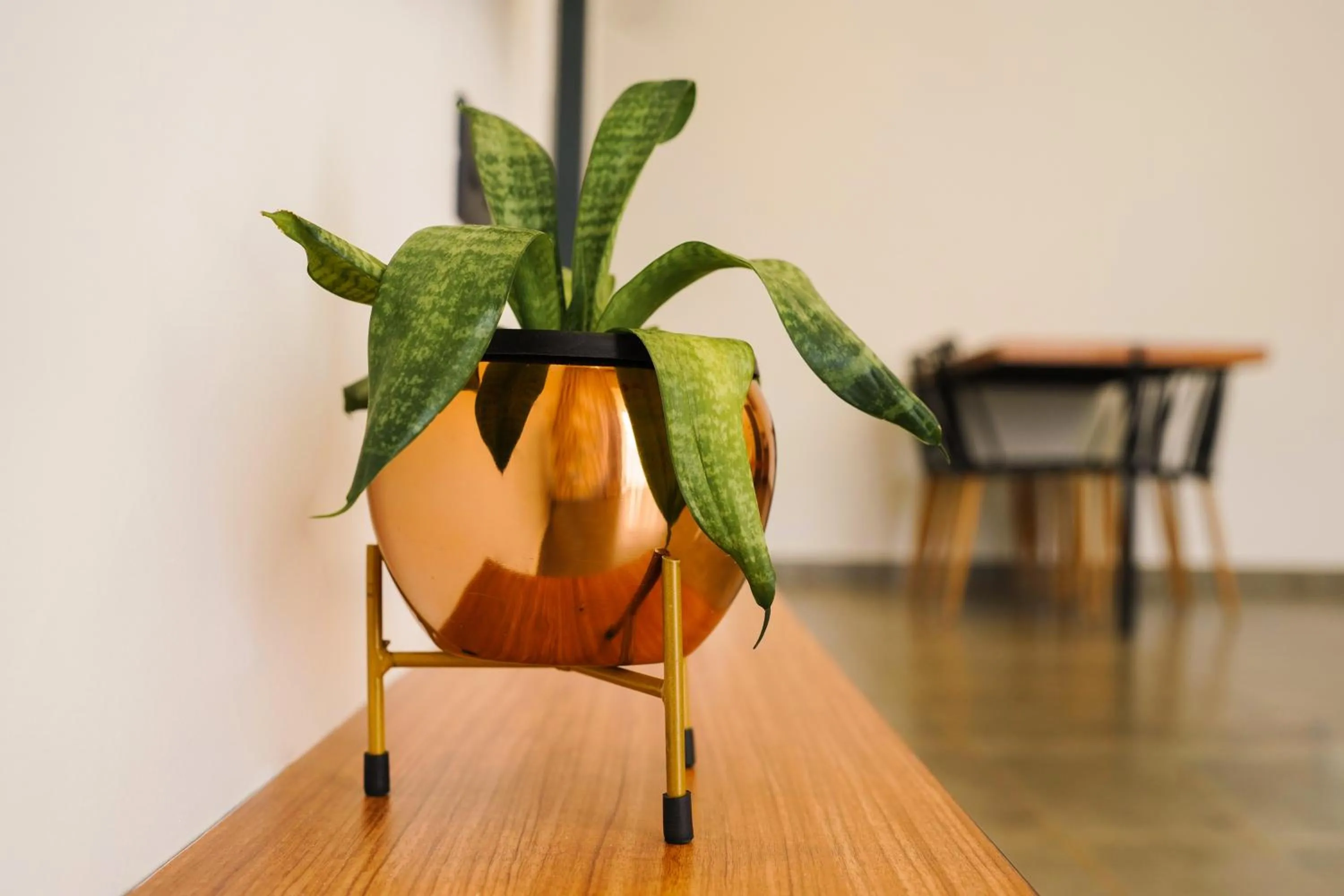 Leaves Resort Vythiri Wayanad