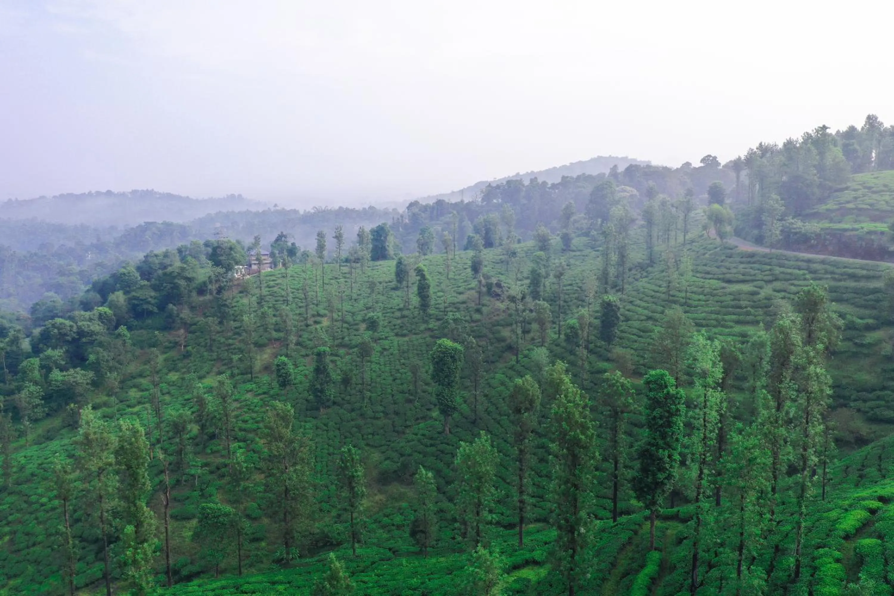 Leaves Resort Vythiri Wayanad