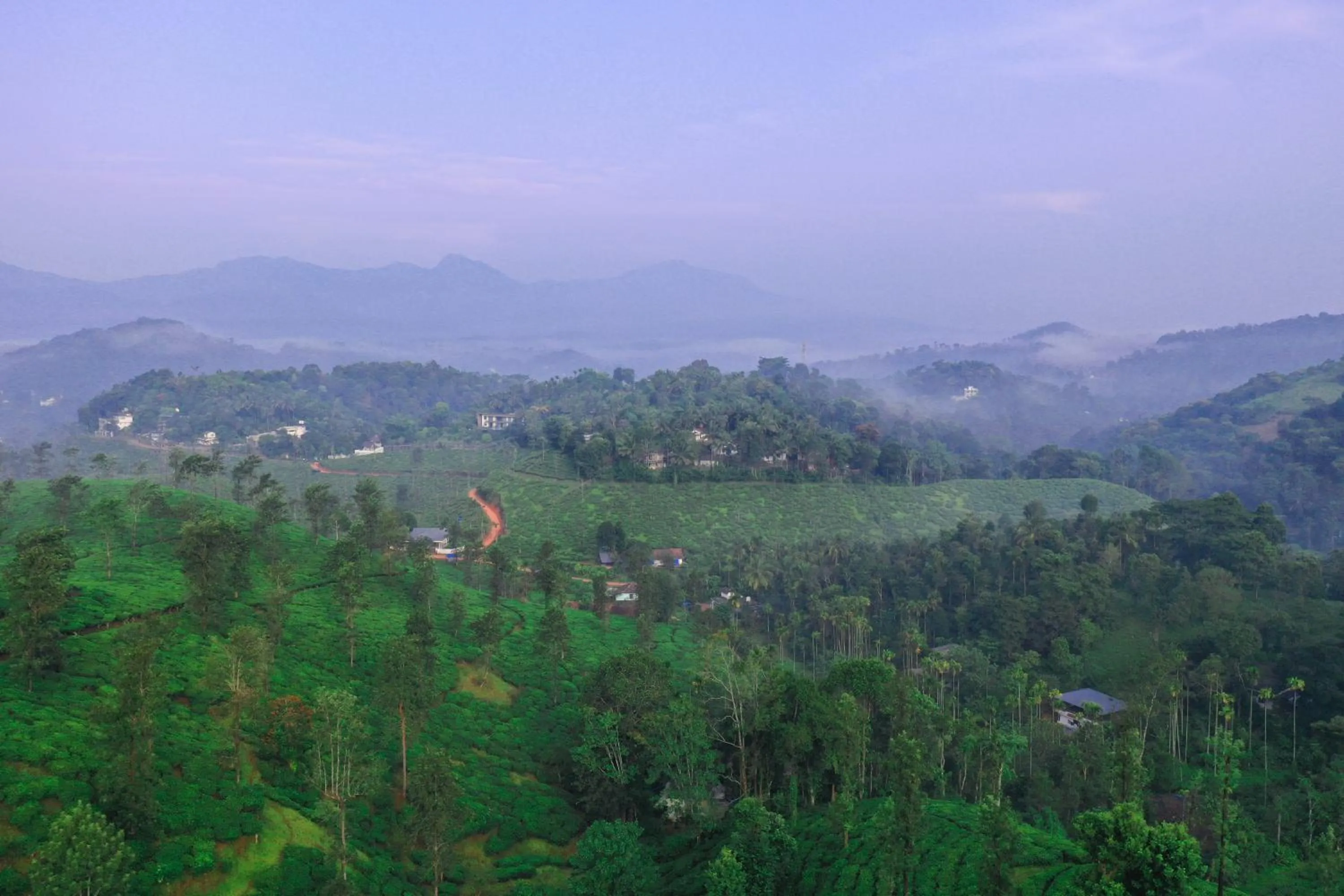 Leaves Resort Vythiri Wayanad