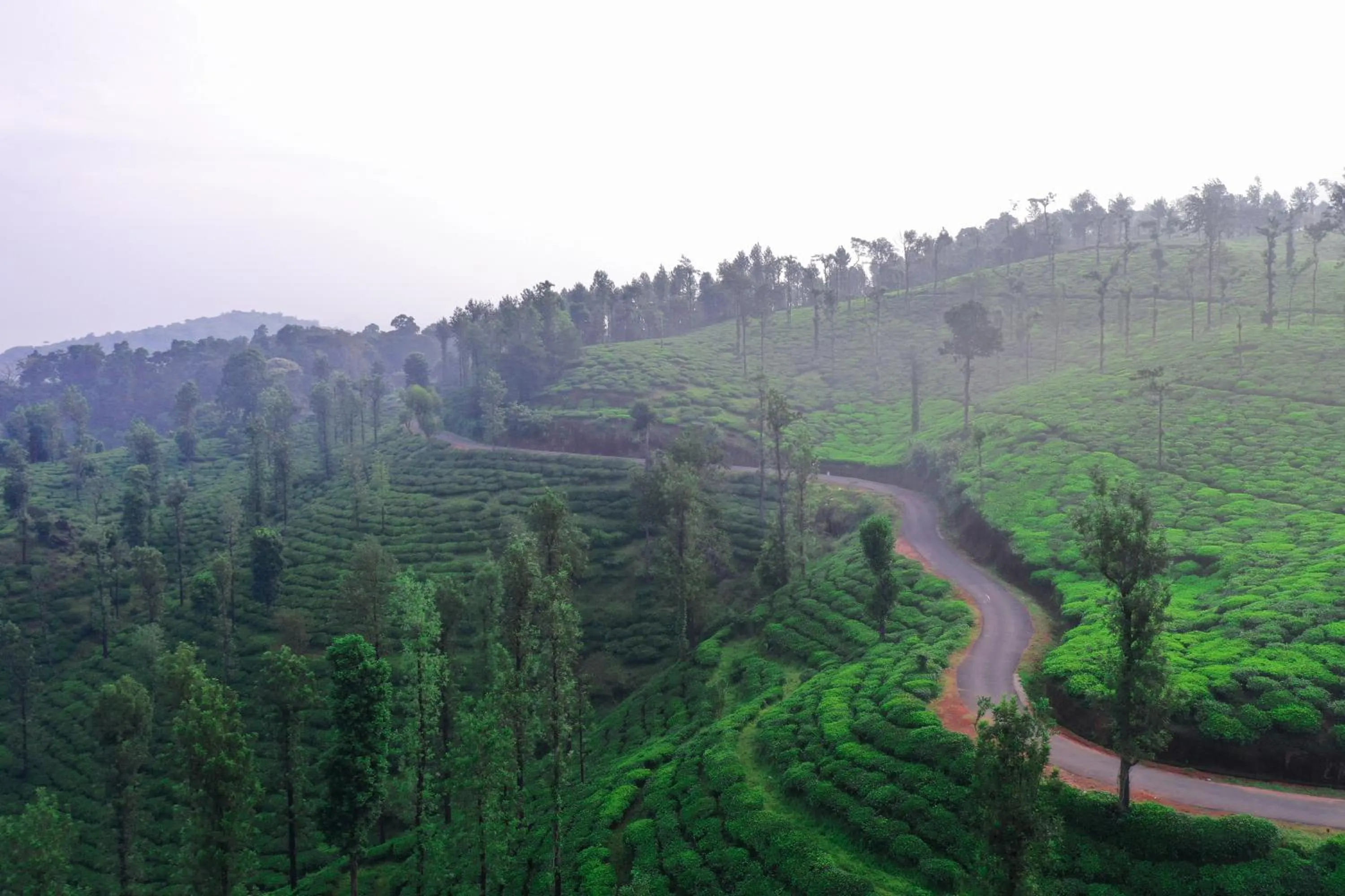 Leaves Resort Vythiri Wayanad