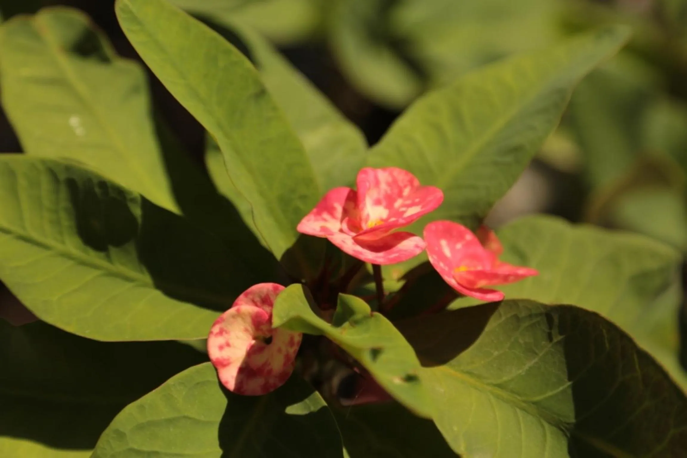 Other in One Crescent Place Hotel