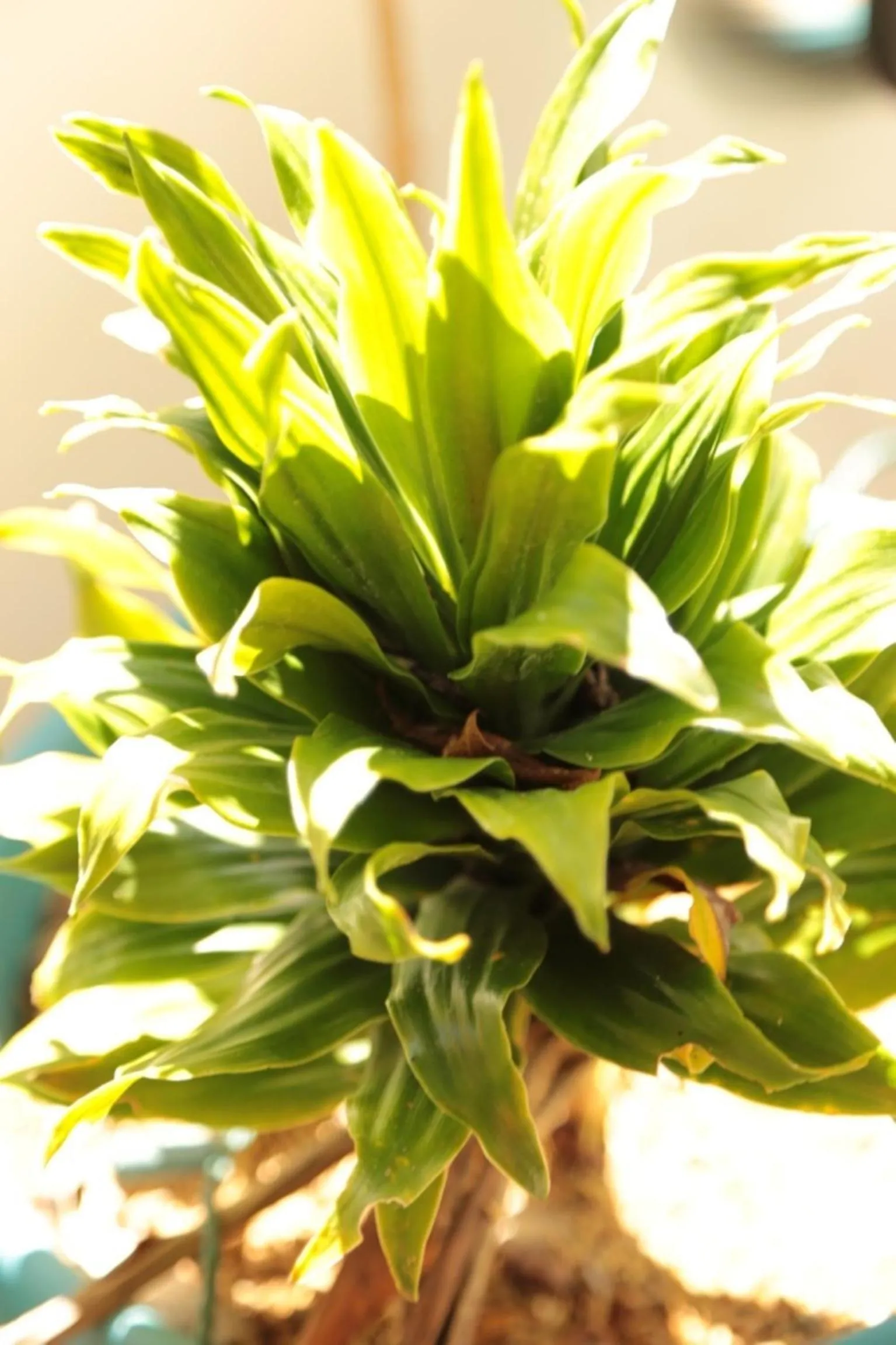 Other in One Crescent Place Hotel