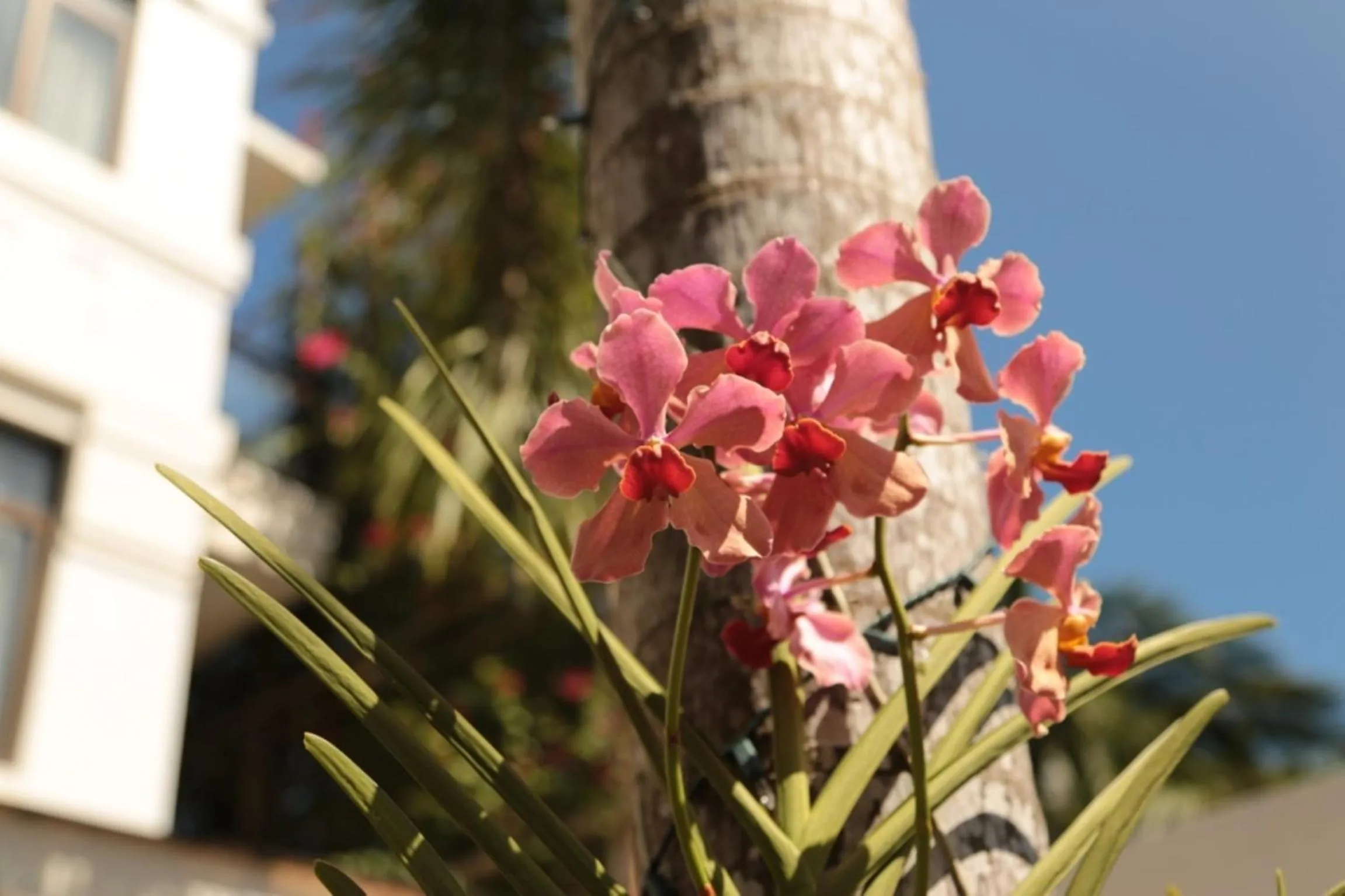 Other in One Crescent Place Hotel