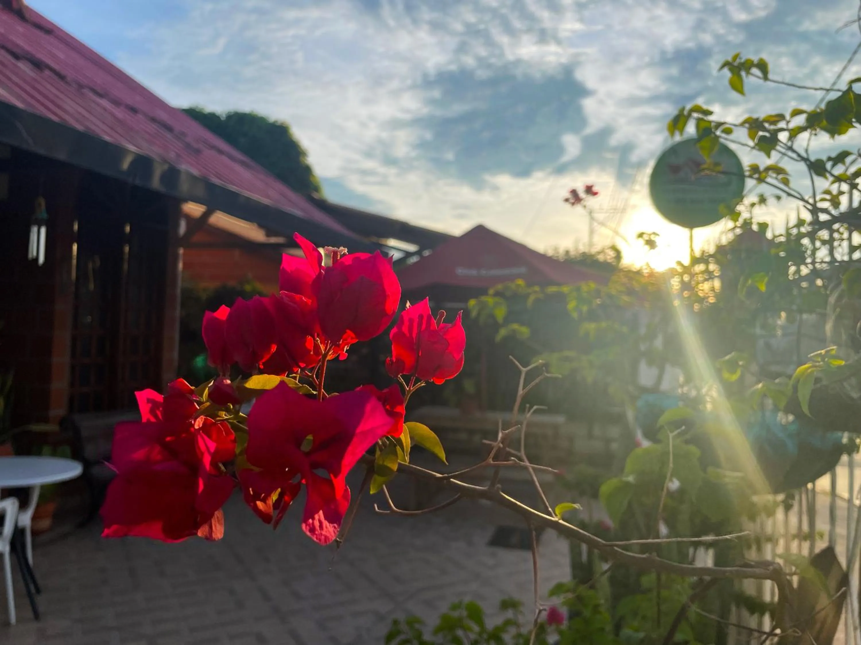 Patio in Casa hotel Mateguadua