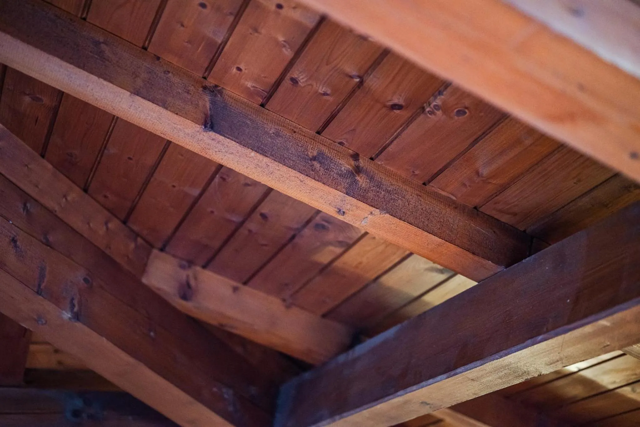 Villa Anglia, SmartStay - Amendola, Fiera, Ospedale San Luca