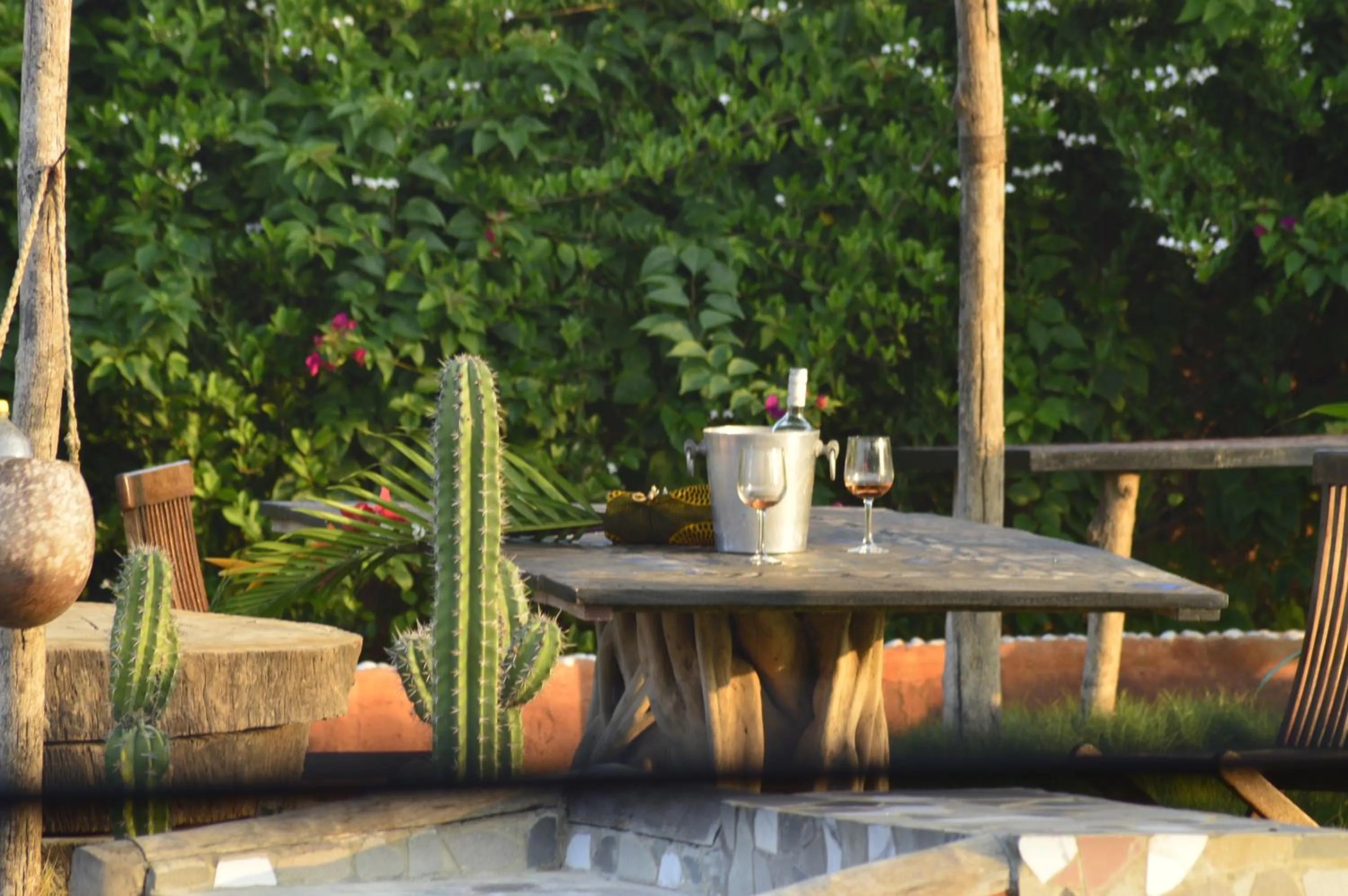 Garden in La Maison Bleue Lome