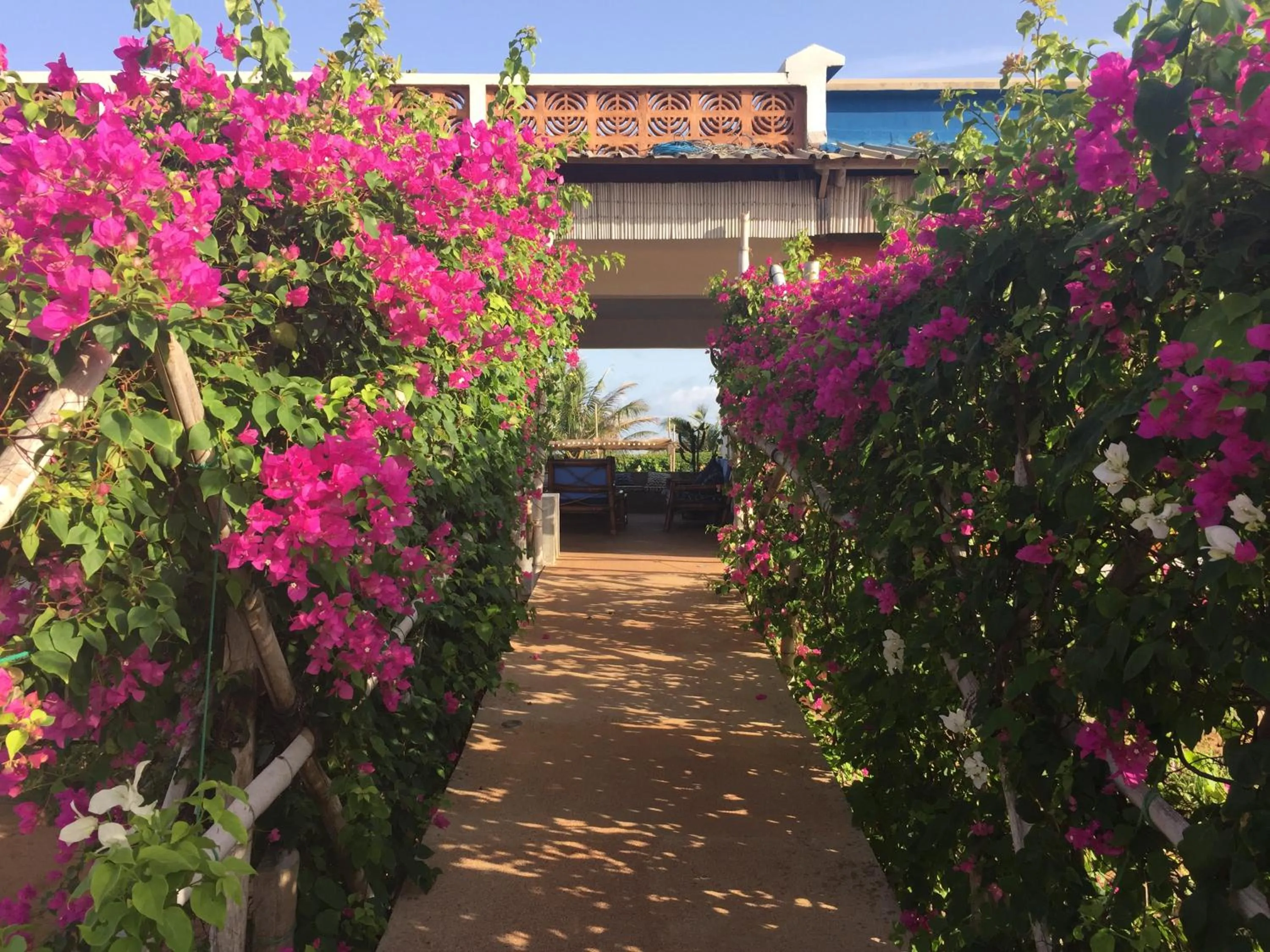 Spring in La Maison Bleue Lome