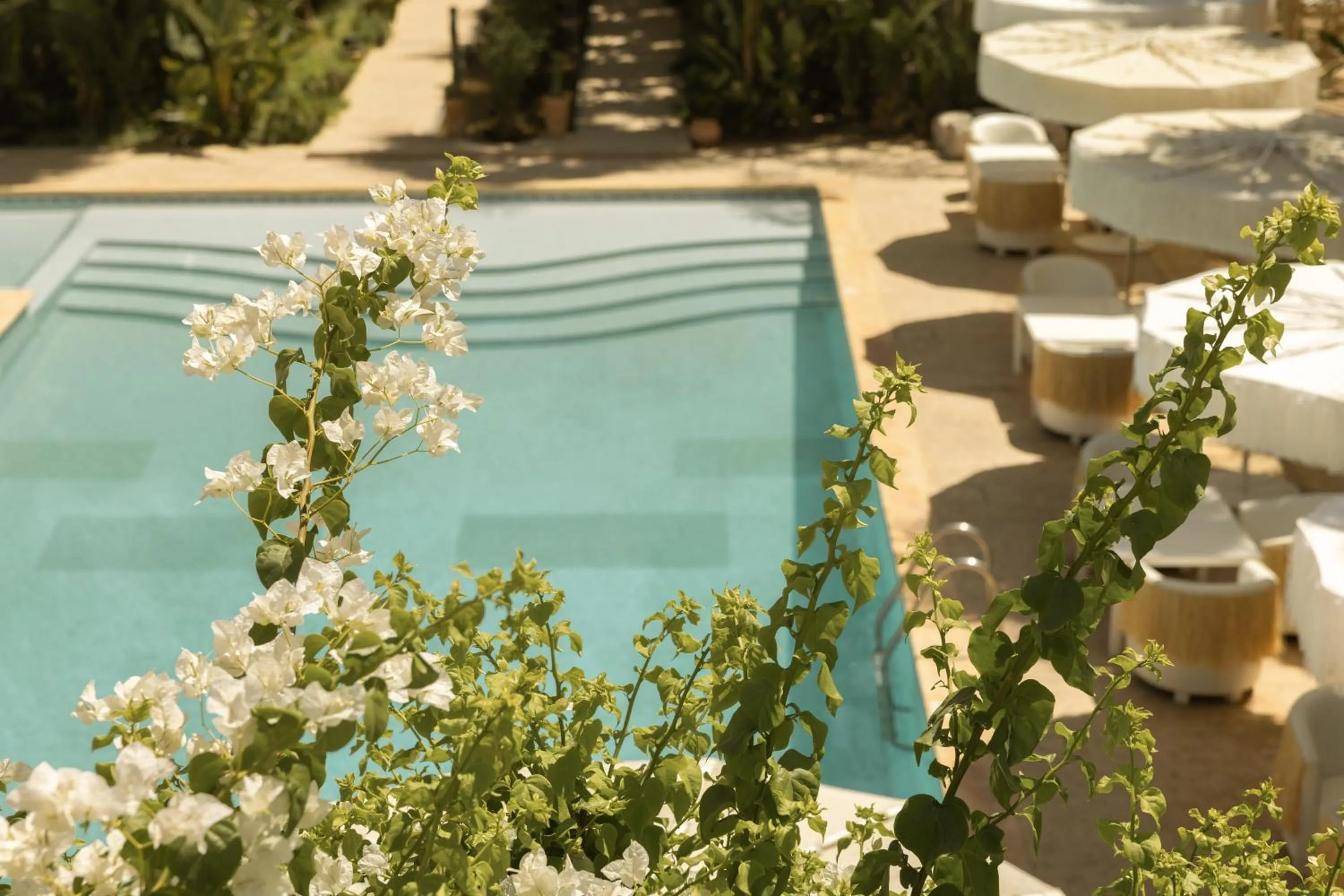 Pool view in Les Palmiers Boutique Hôtel & Spa