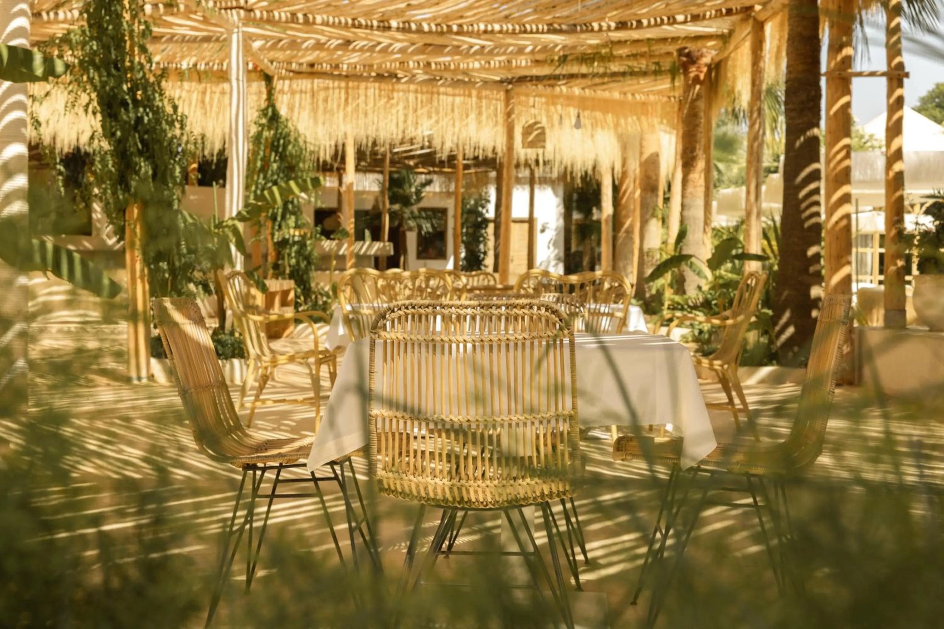 Restaurant/places to eat in Les Palmiers Boutique Hôtel & Spa