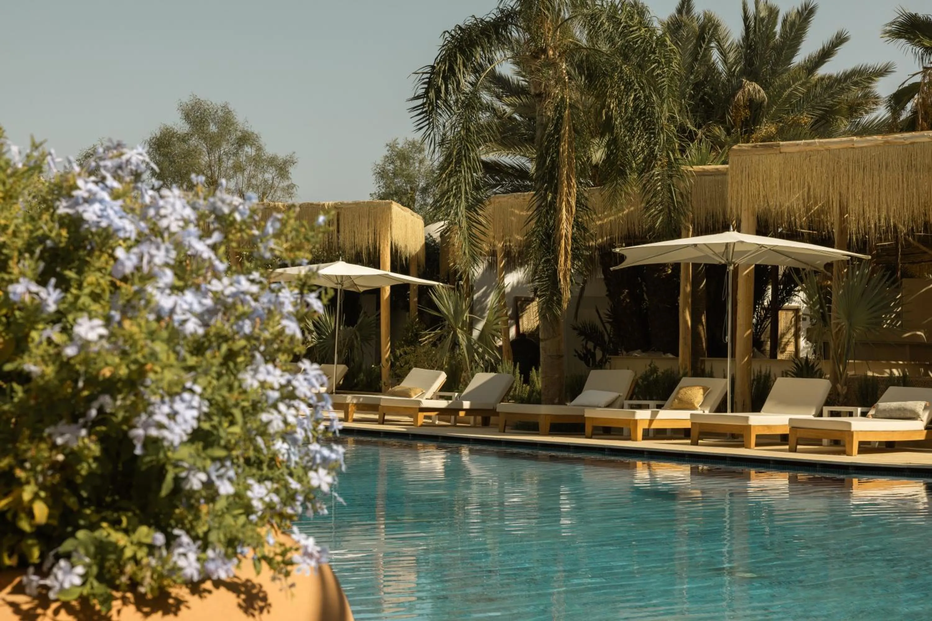 Pool view in Les Palmiers Boutique Hôtel & Spa