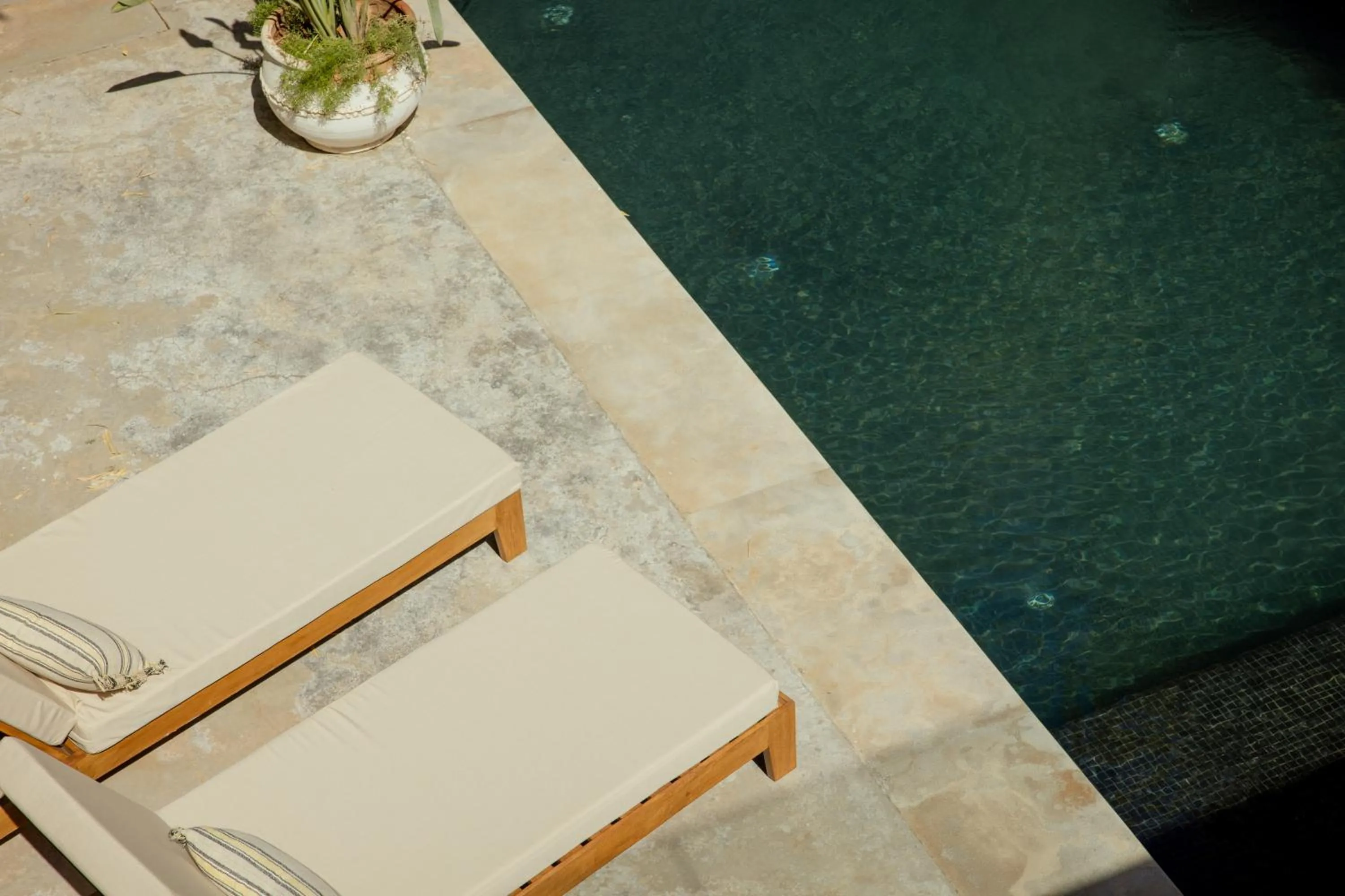 Pool view in Les Palmiers Boutique Hôtel & Spa