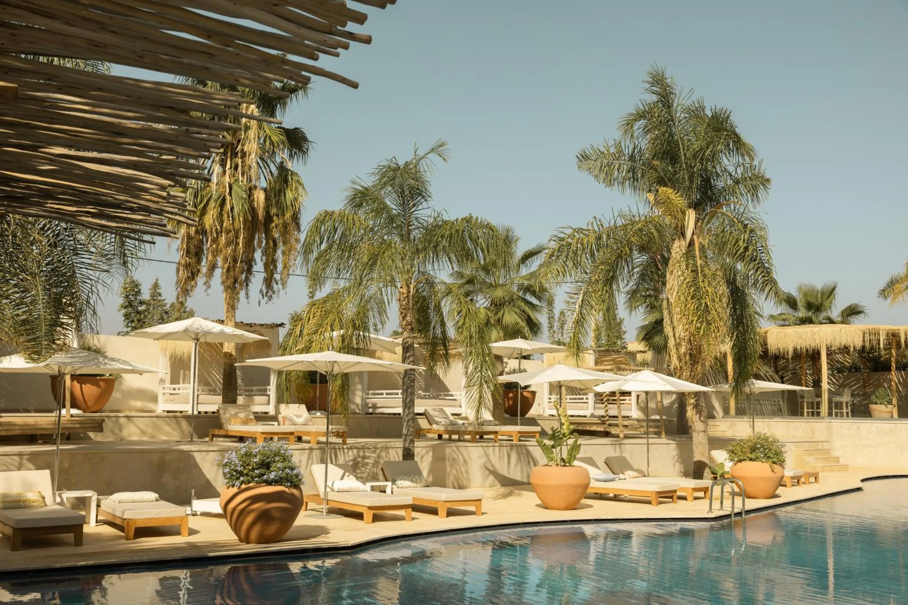 Swimming pool in Les Palmiers Boutique Hôtel & Spa