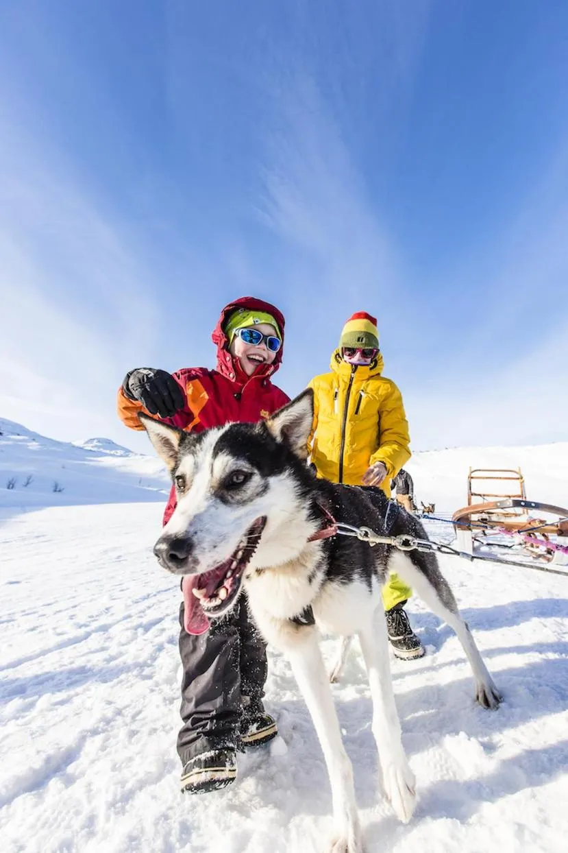 Pets in Hotell Fjället