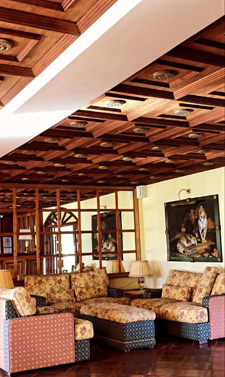 Living room in Hotel Visconte D'Italia