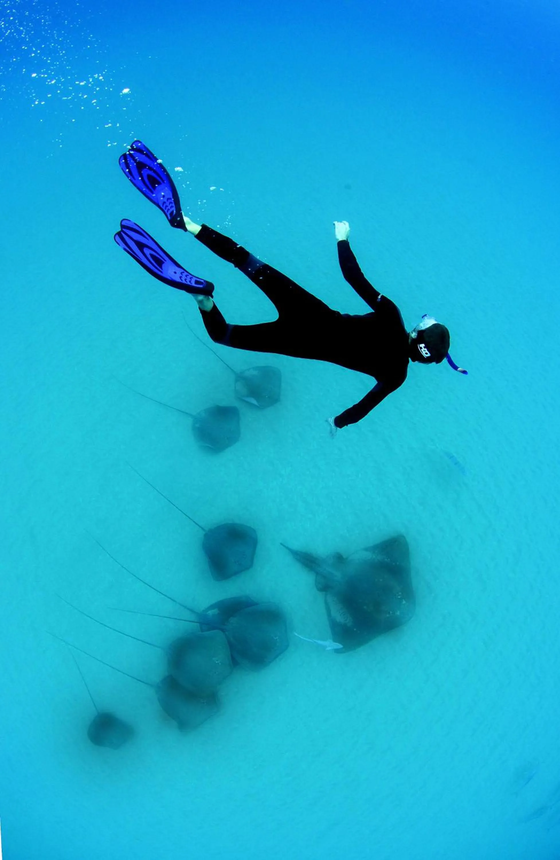 Activities in Anantara Bazaruto Island Resort