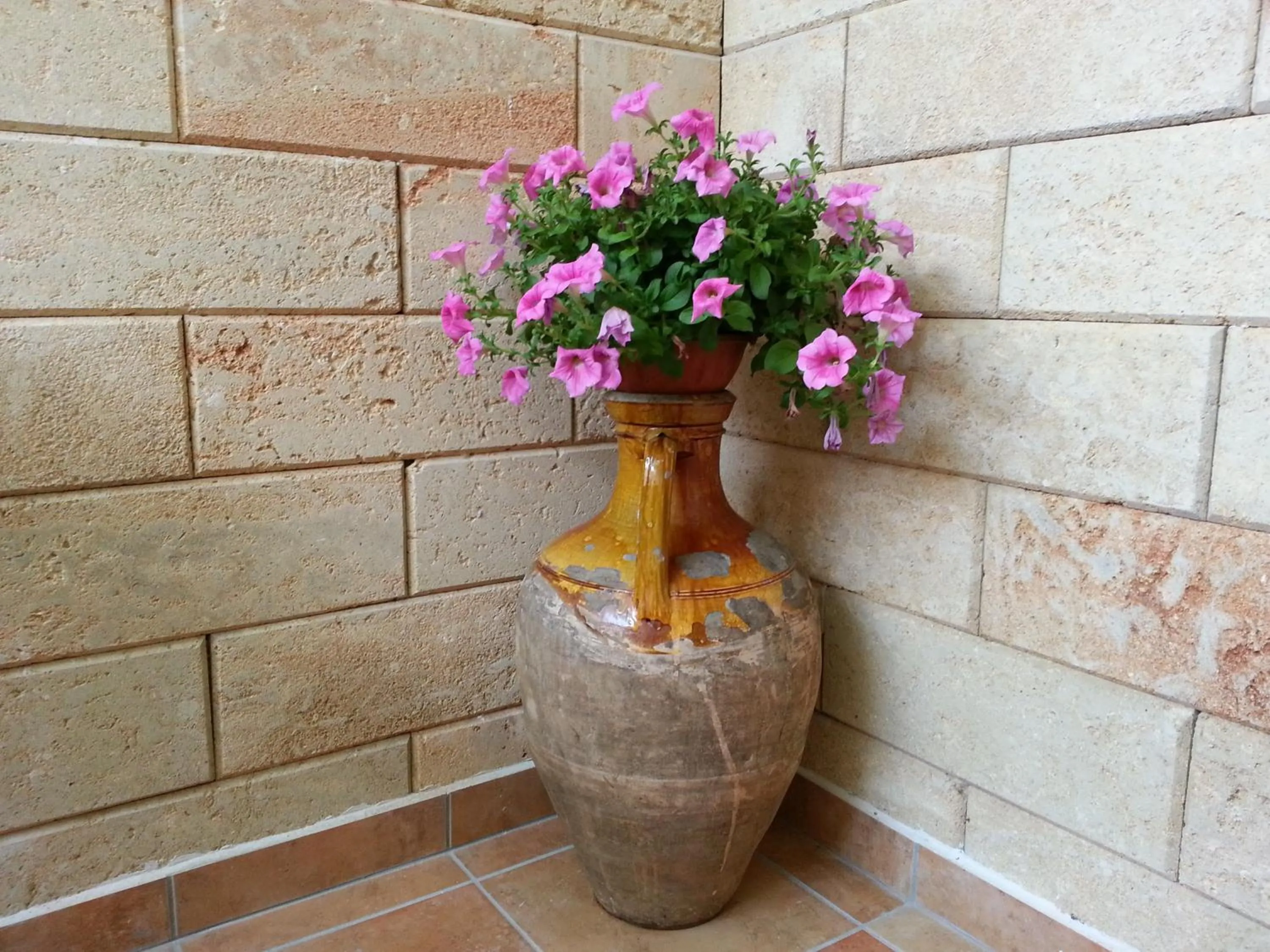 Garden in B&B sul Mare