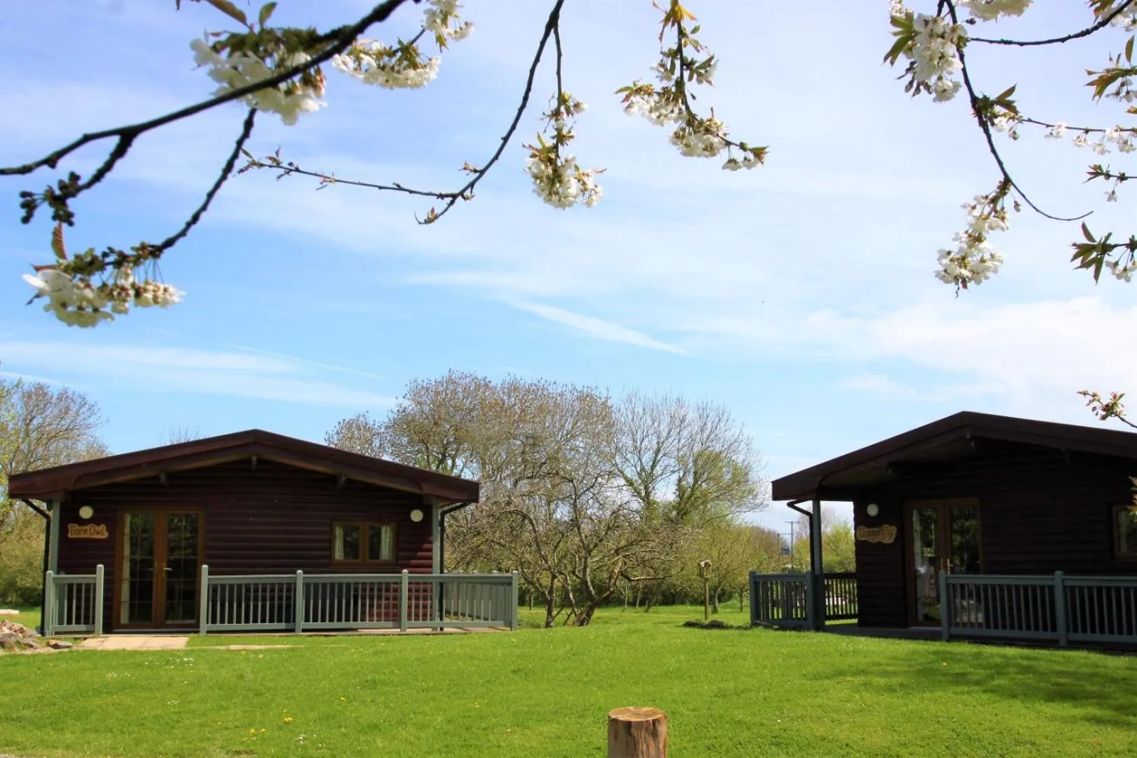 Property building in Wall Eden Farm - Luxury Log Cabins and Glamping