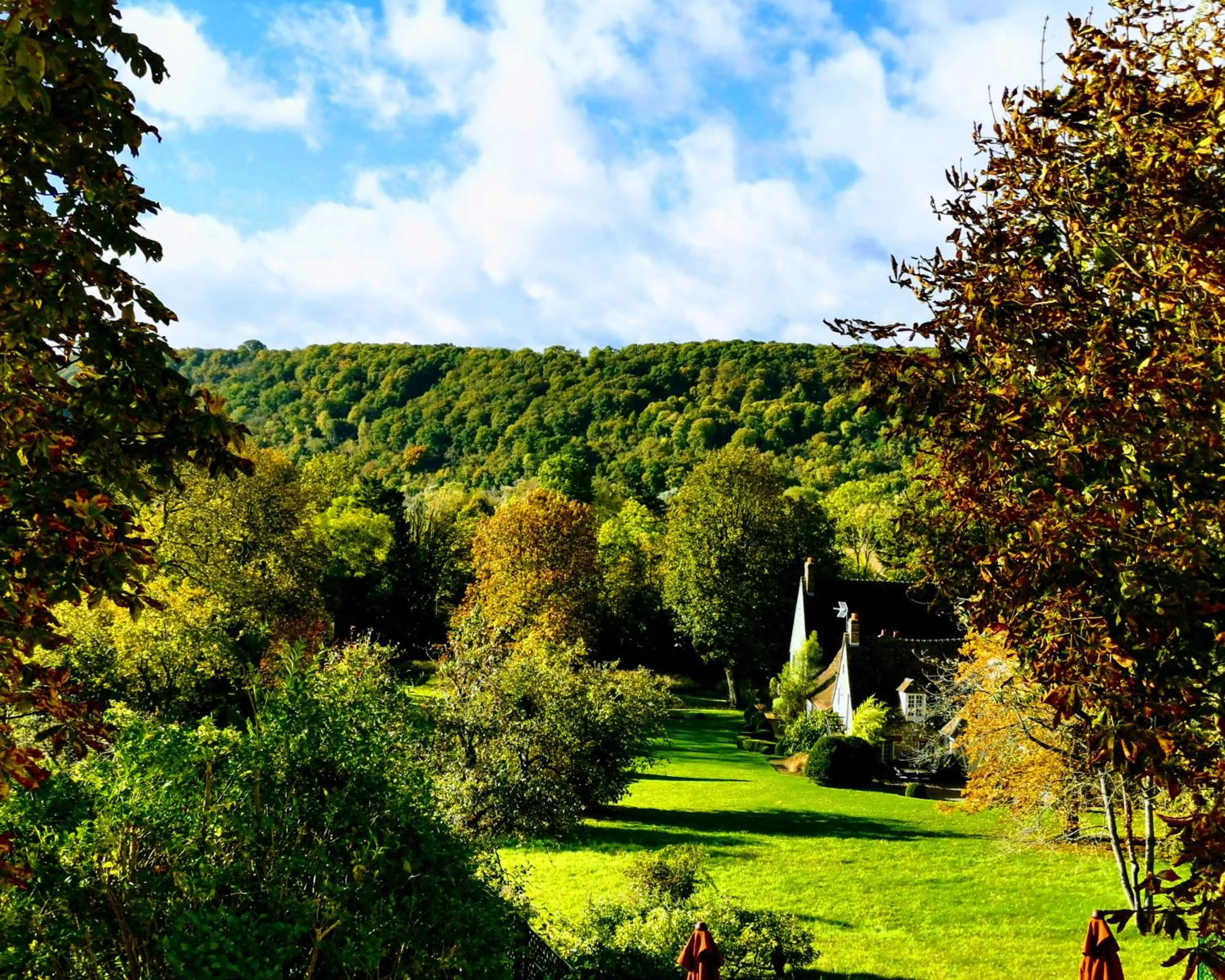 Le Coin des Artistes