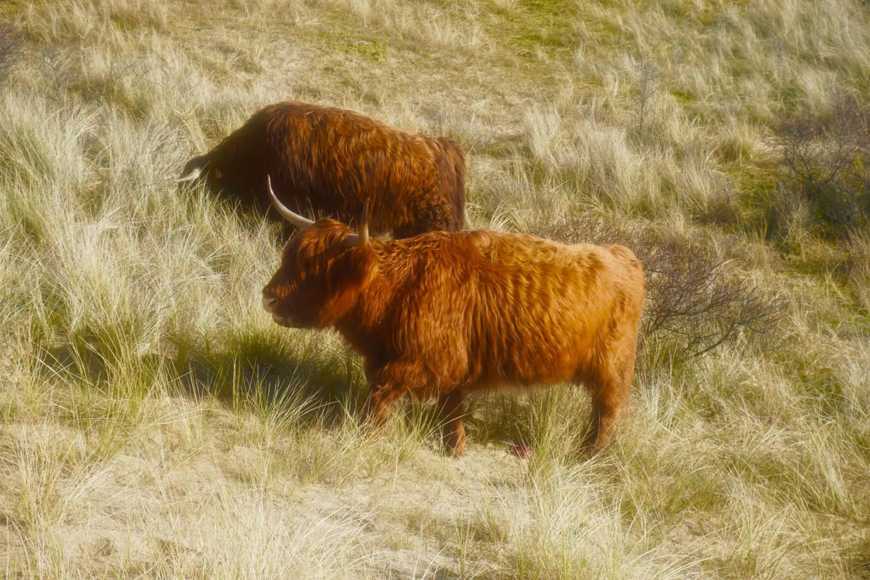 Natural landscape in Bed and Breakfast Kik en Bun