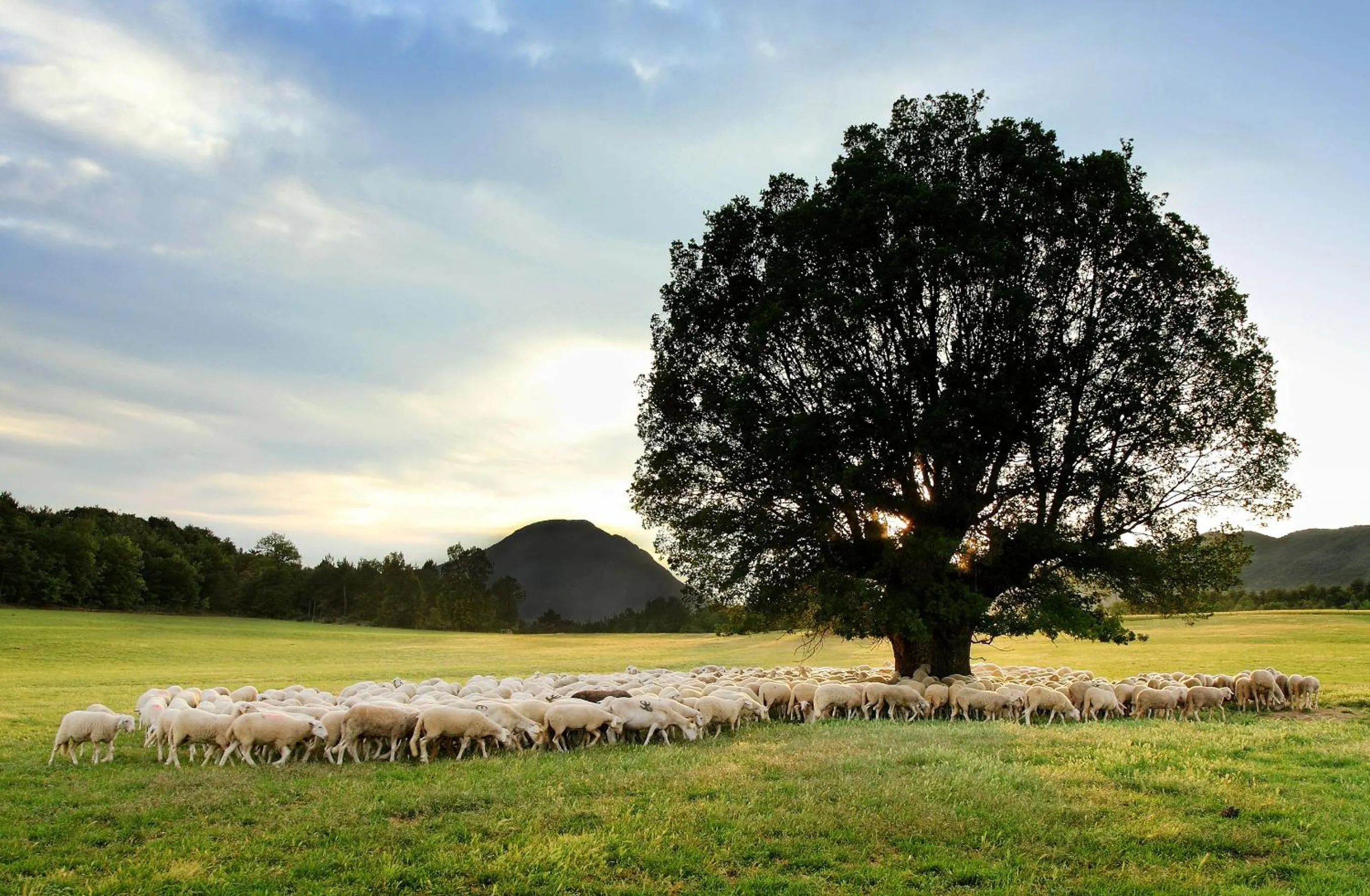Day in La Borda de Pastores