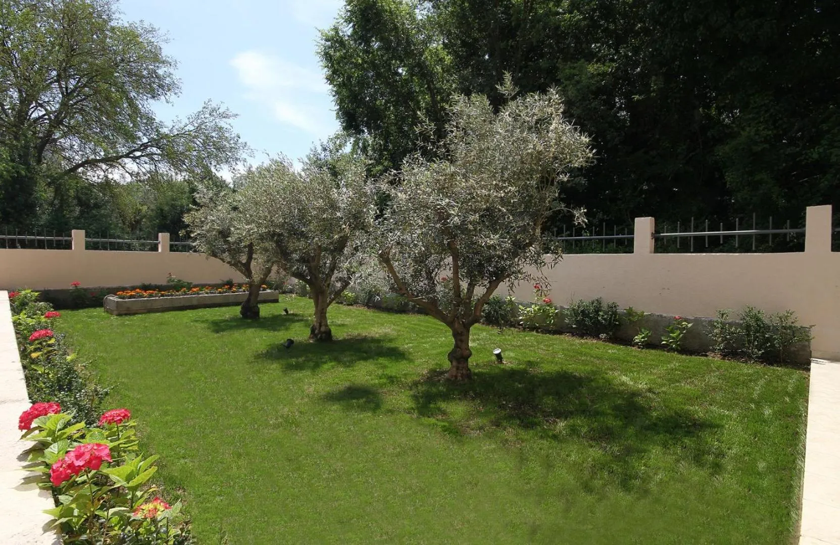 Garden in Hotel Premier