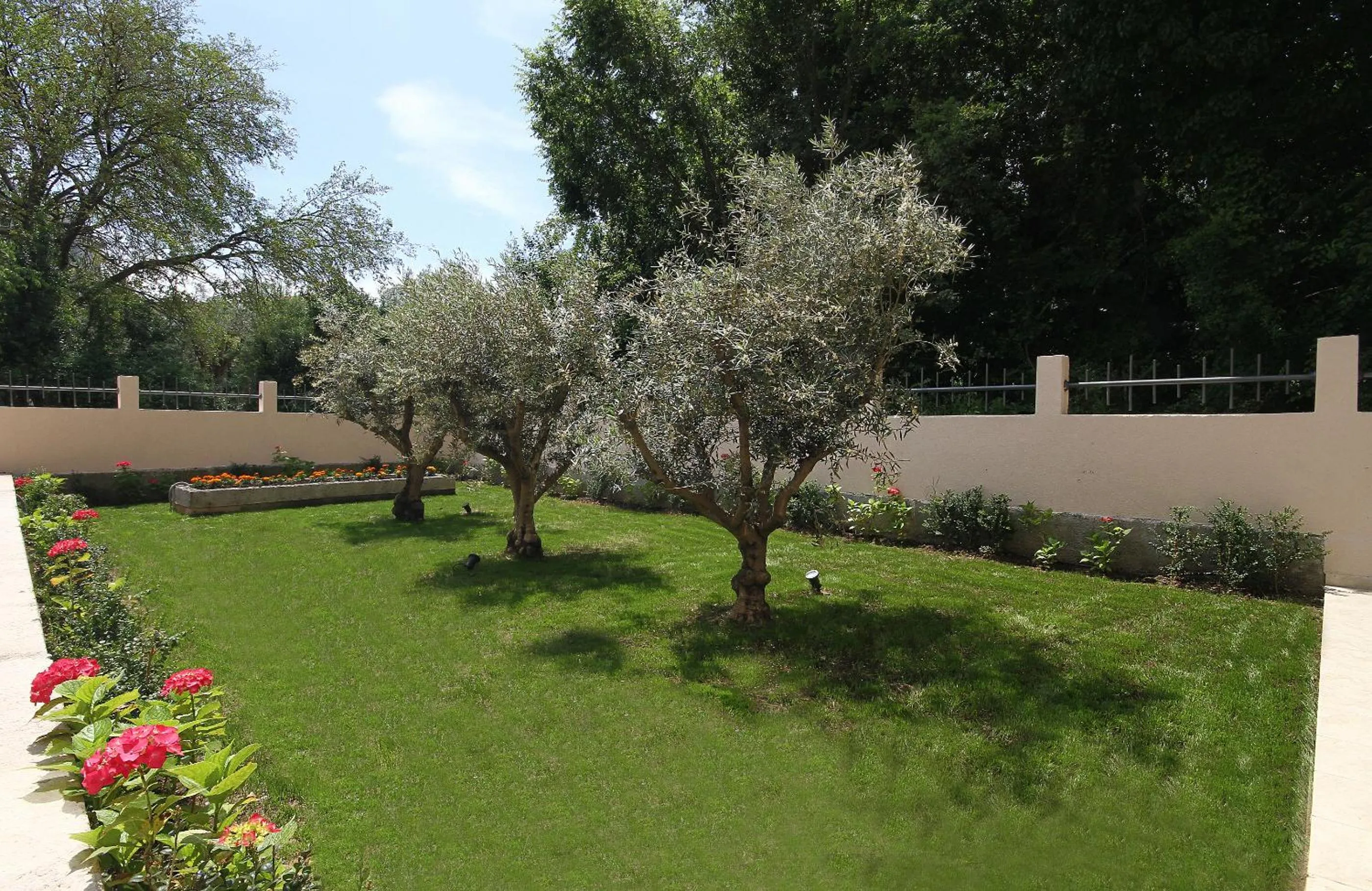 Garden in Hotel Premier