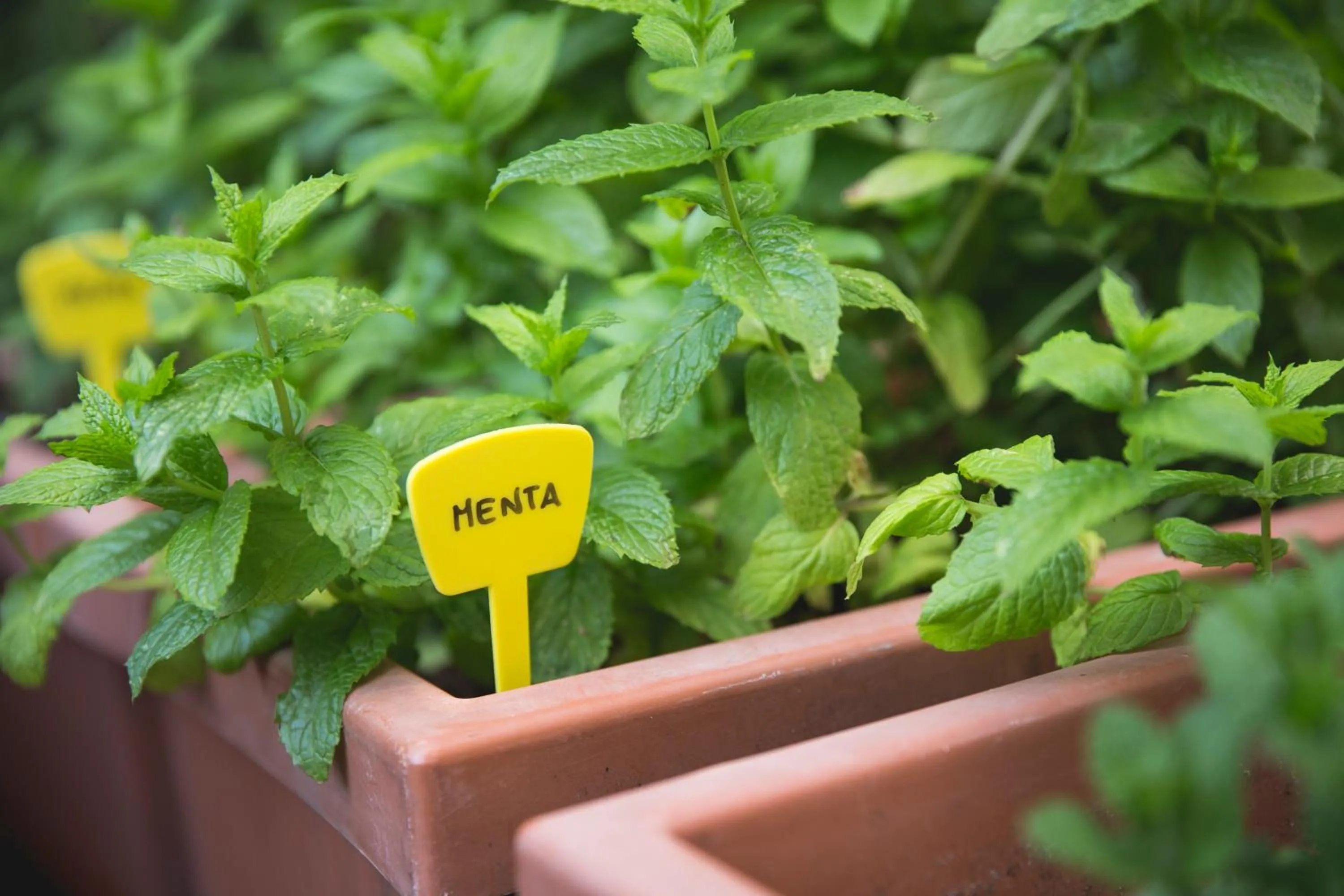Decorative detail in Hotel Cambridge