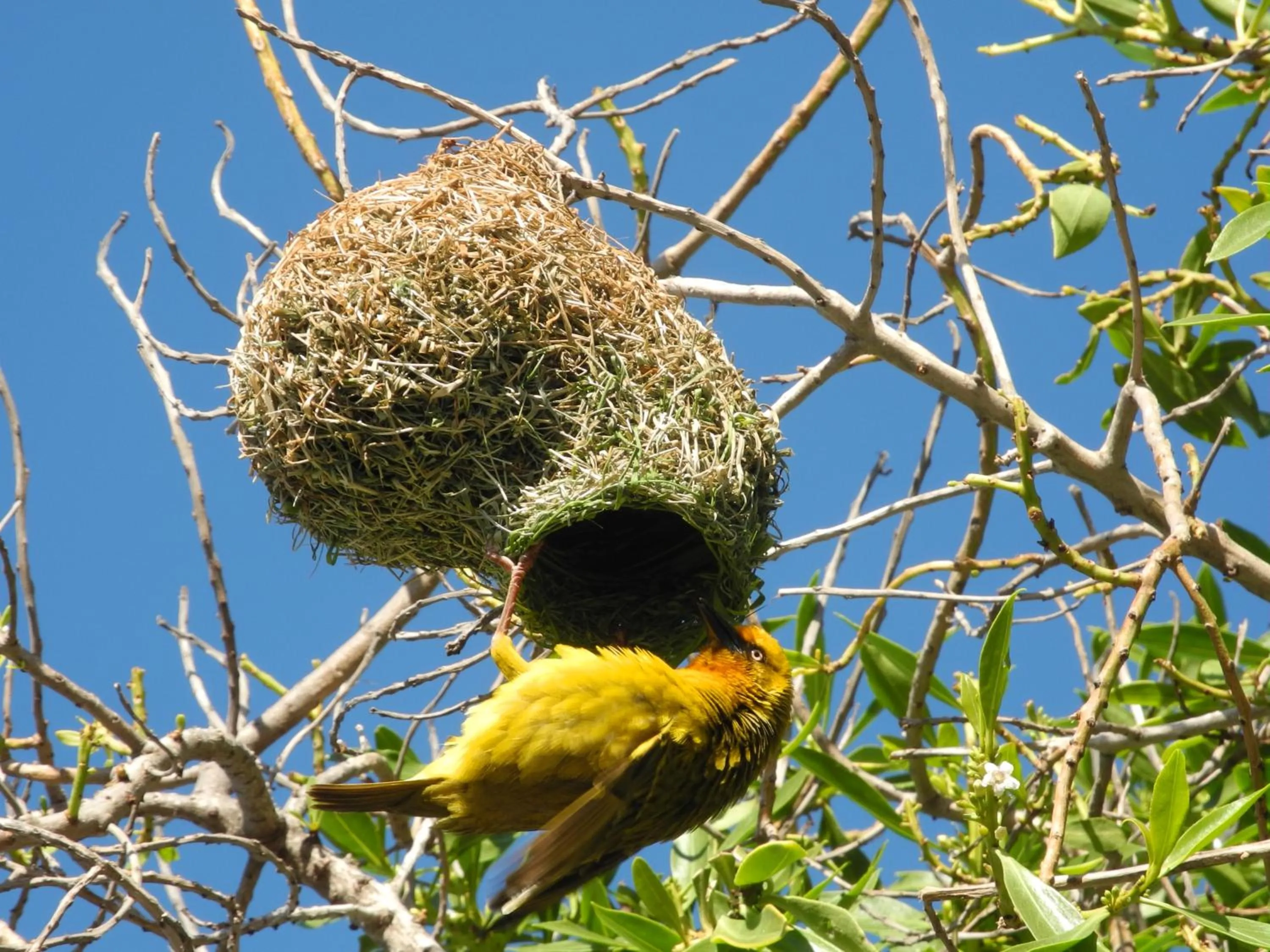 Natural landscape in Beachcombers