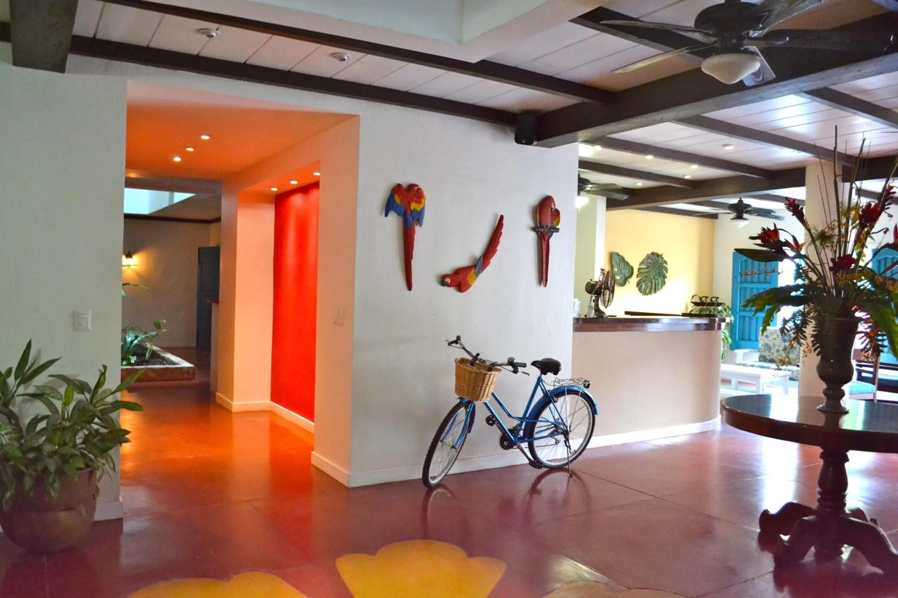 Lobby or reception in Hotel Isla de Flores