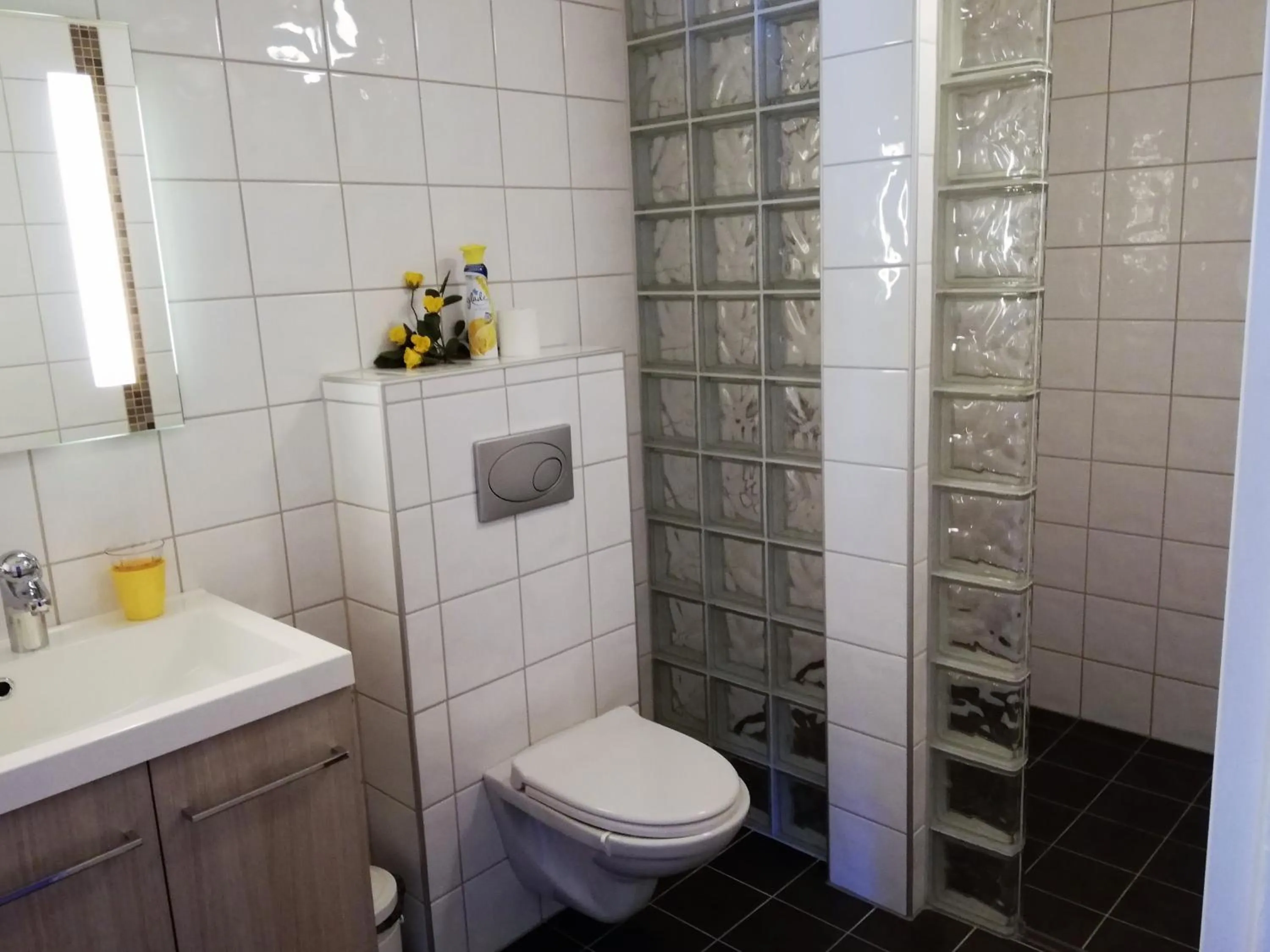 Toilet in Løvheim Gjestehus