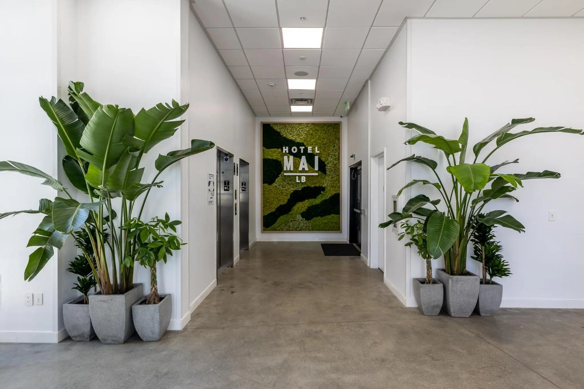 Hotel Mai Downtown Long Beach