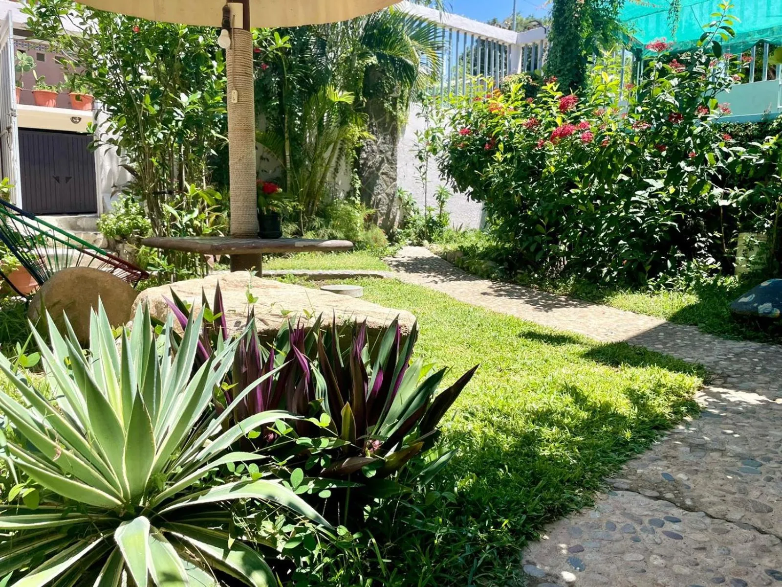 Garden in Hotel Bigu