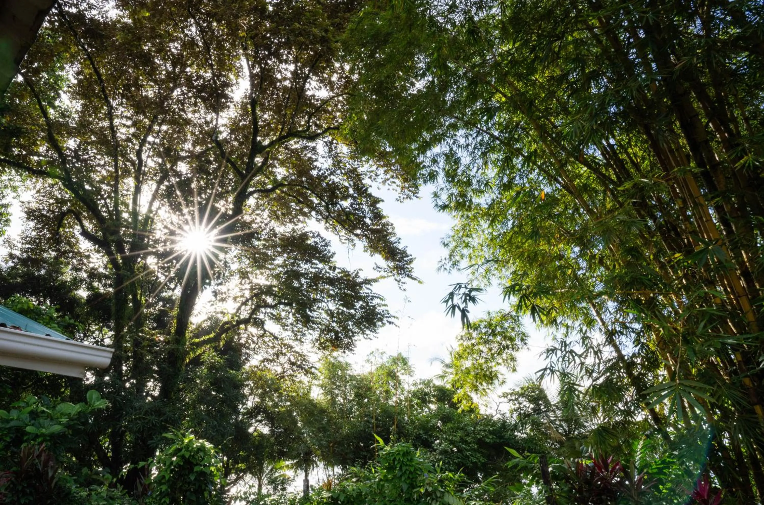 Natural landscape in Pirate Cove