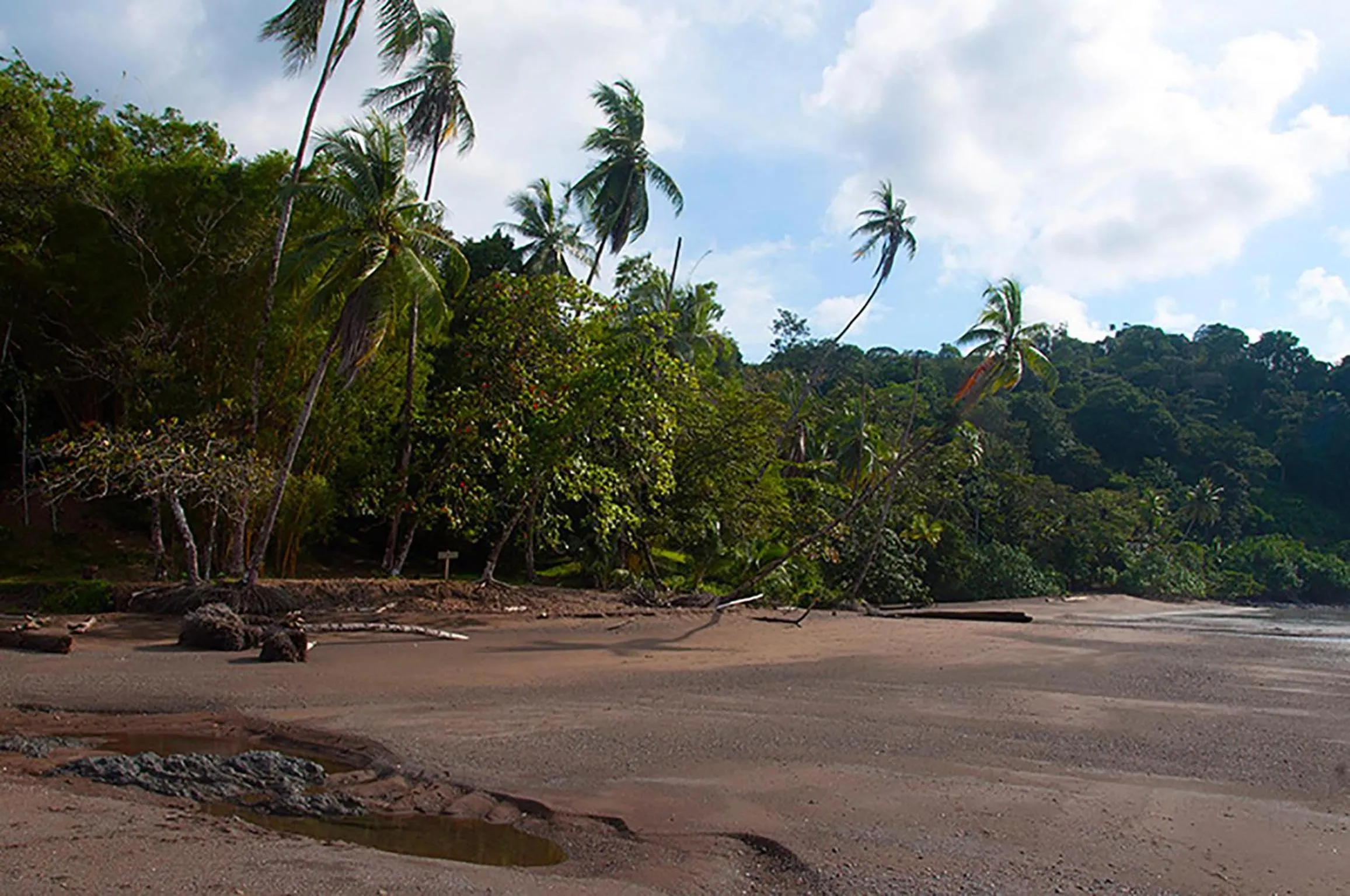 Off site in Pirate Cove