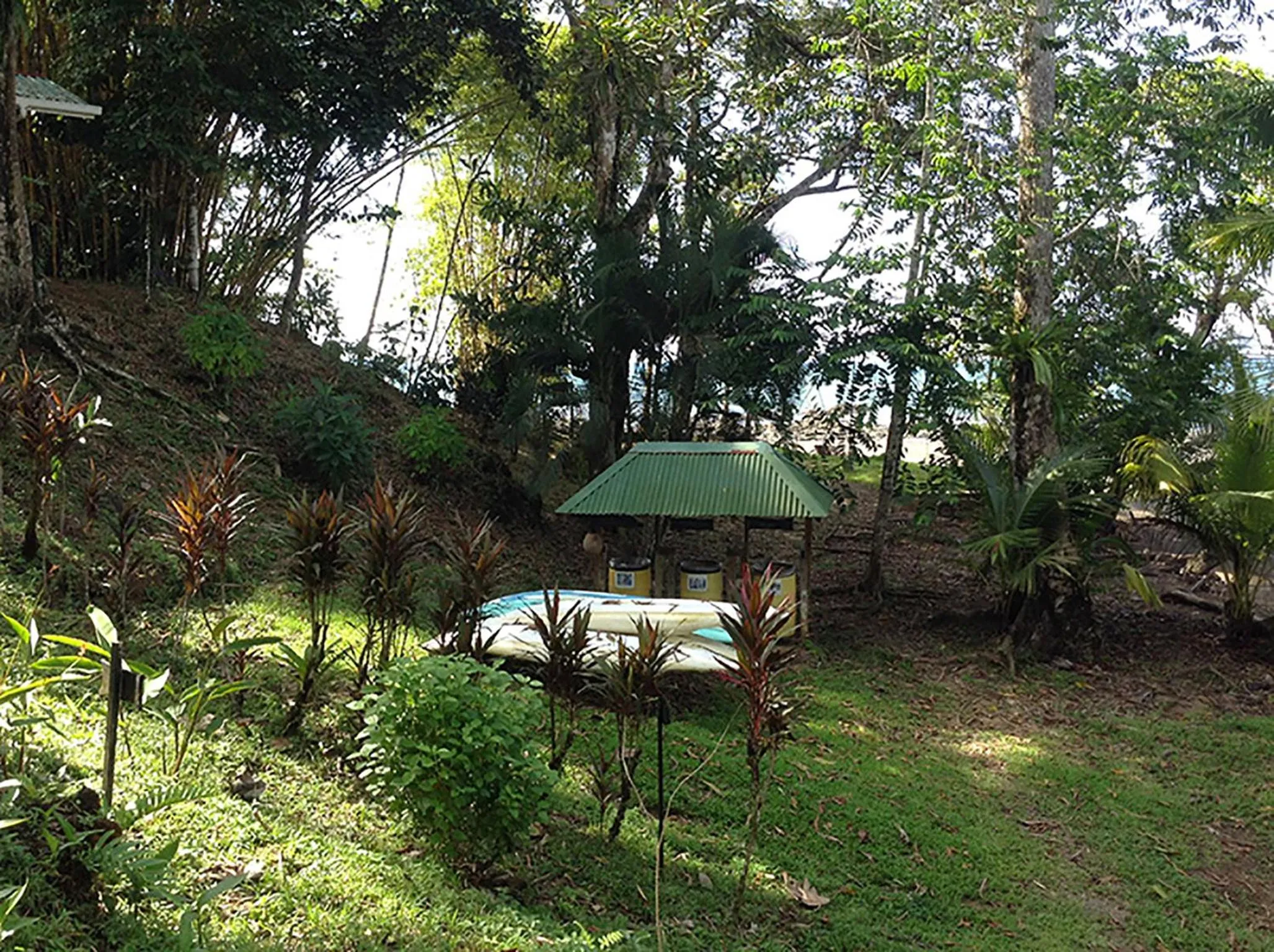 Garden in Pirate Cove