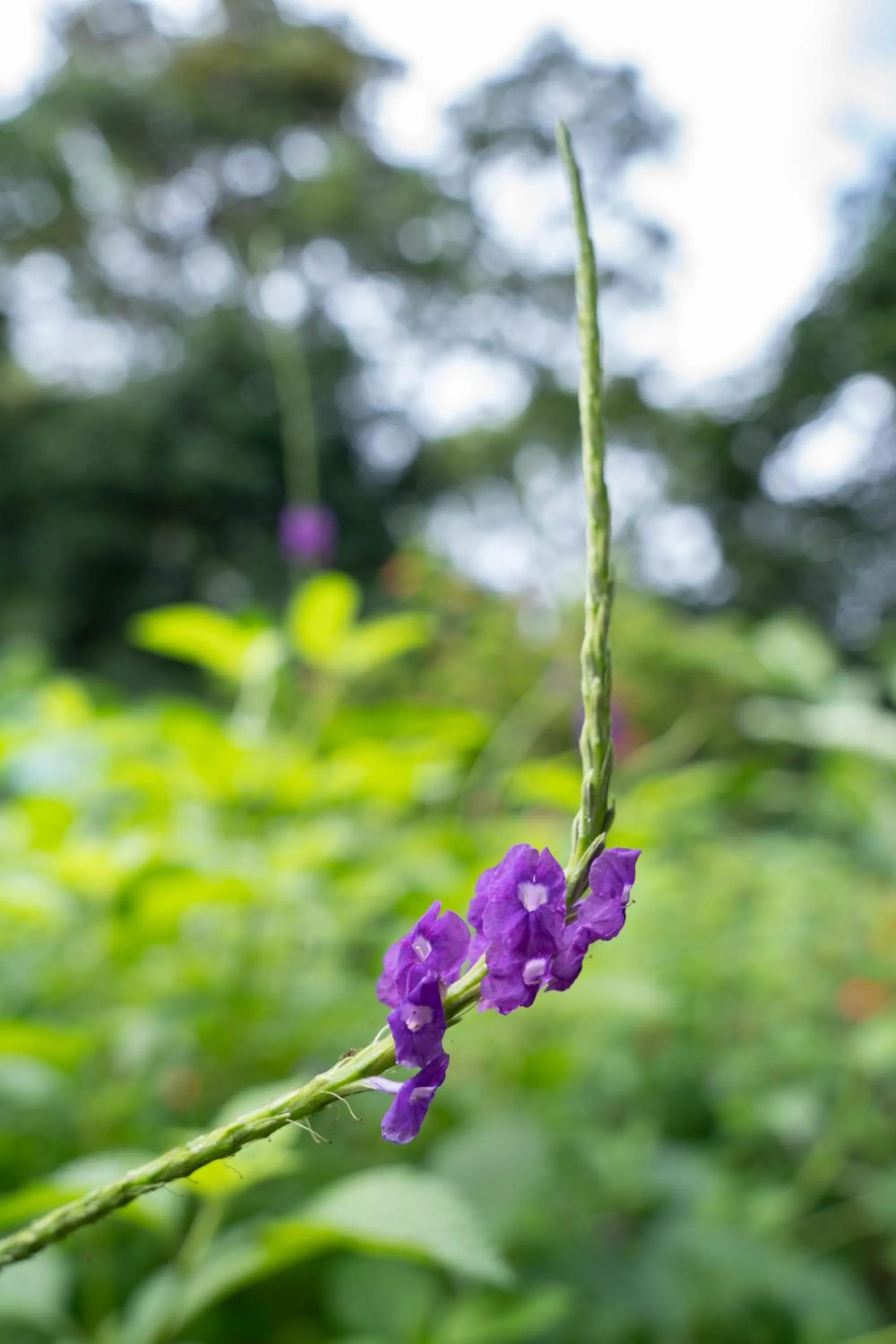 Natural landscape in Pirate Cove
