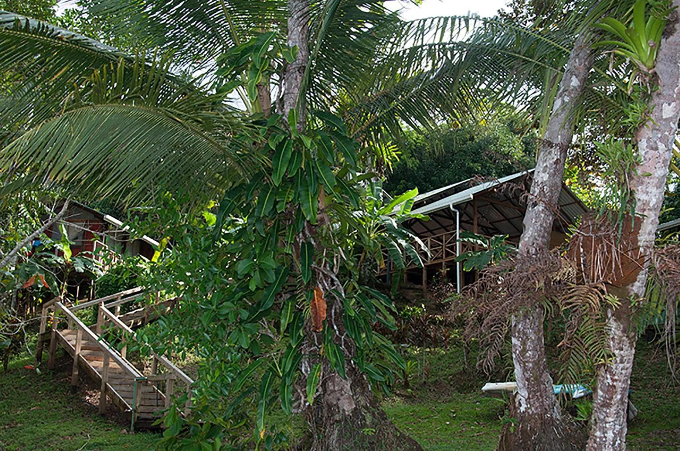 Garden in Pirate Cove